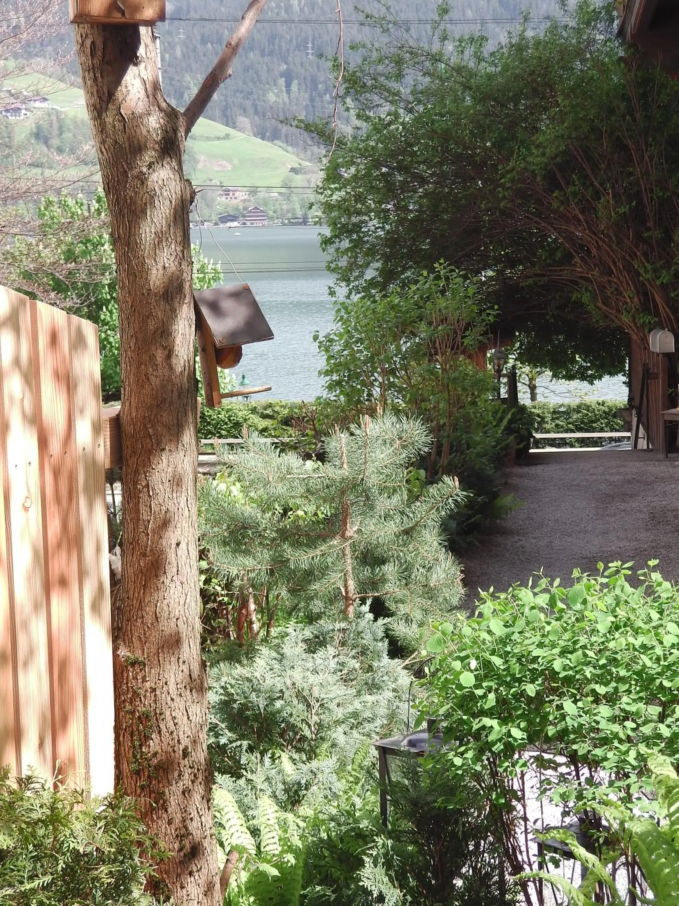 Garden in Appartement Harrer