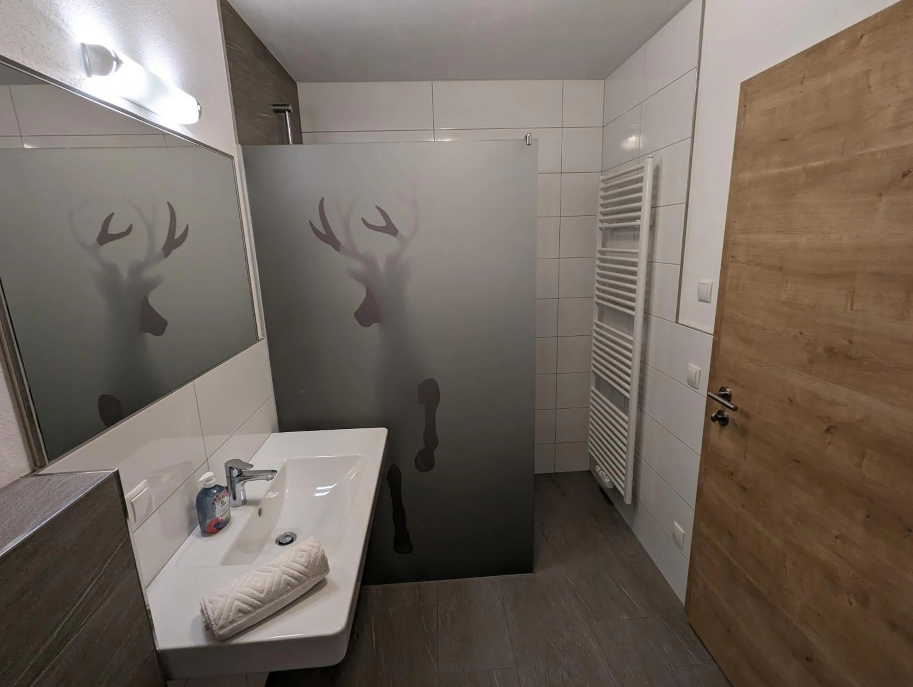Shower in Appartements Gotthardt
