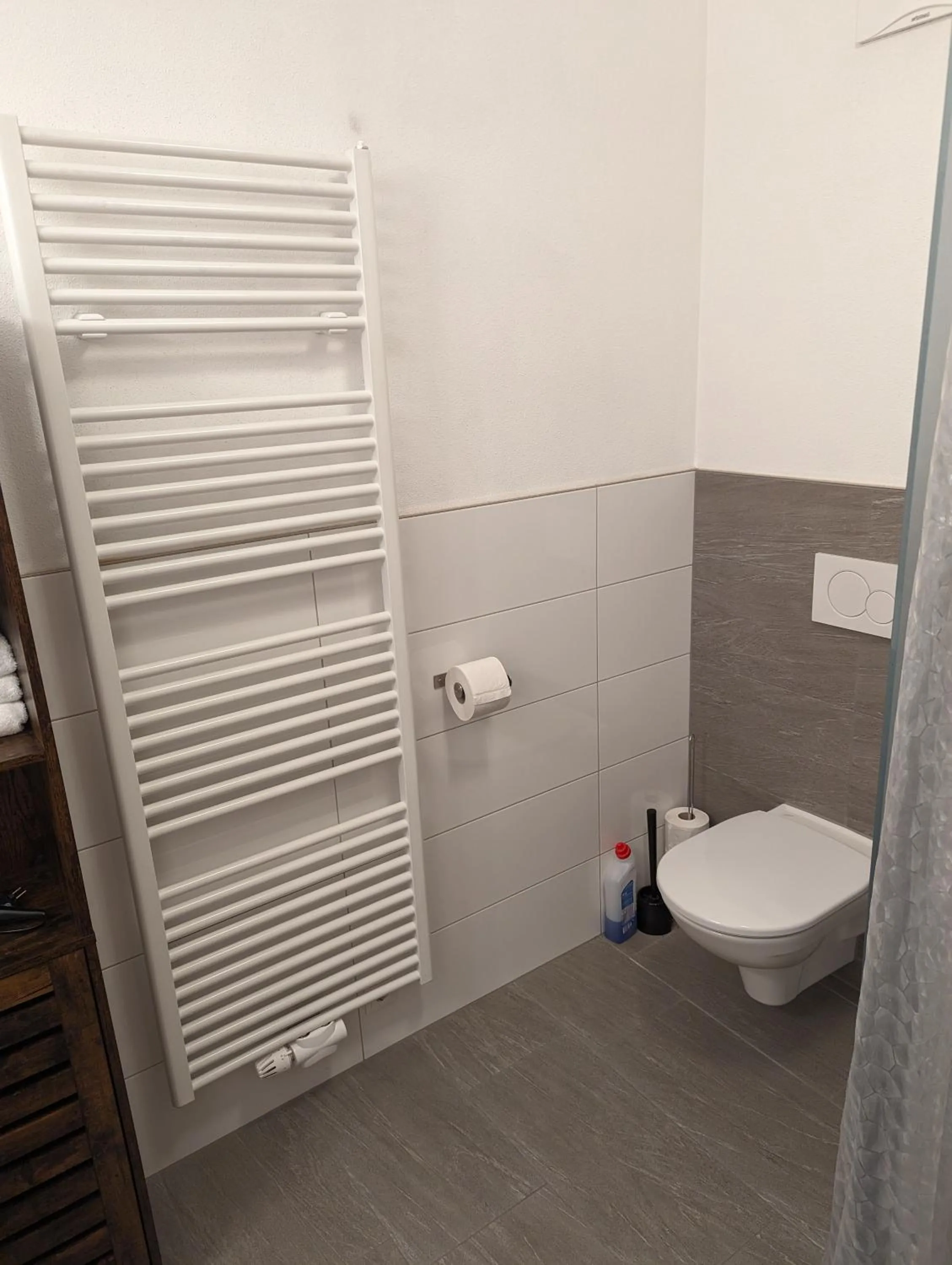 Toilet in Appartements Gotthardt