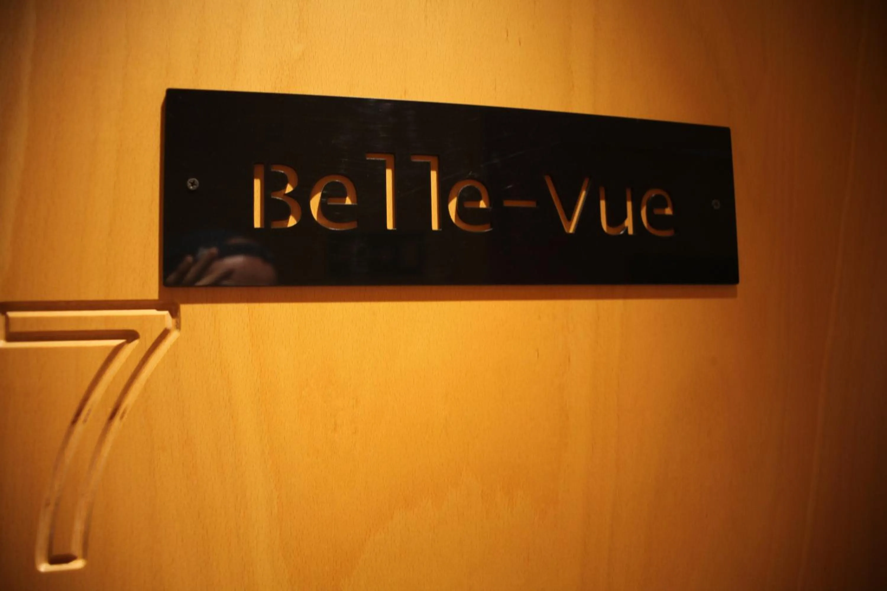 Logo/Certificate/Sign in Hotel Salvators