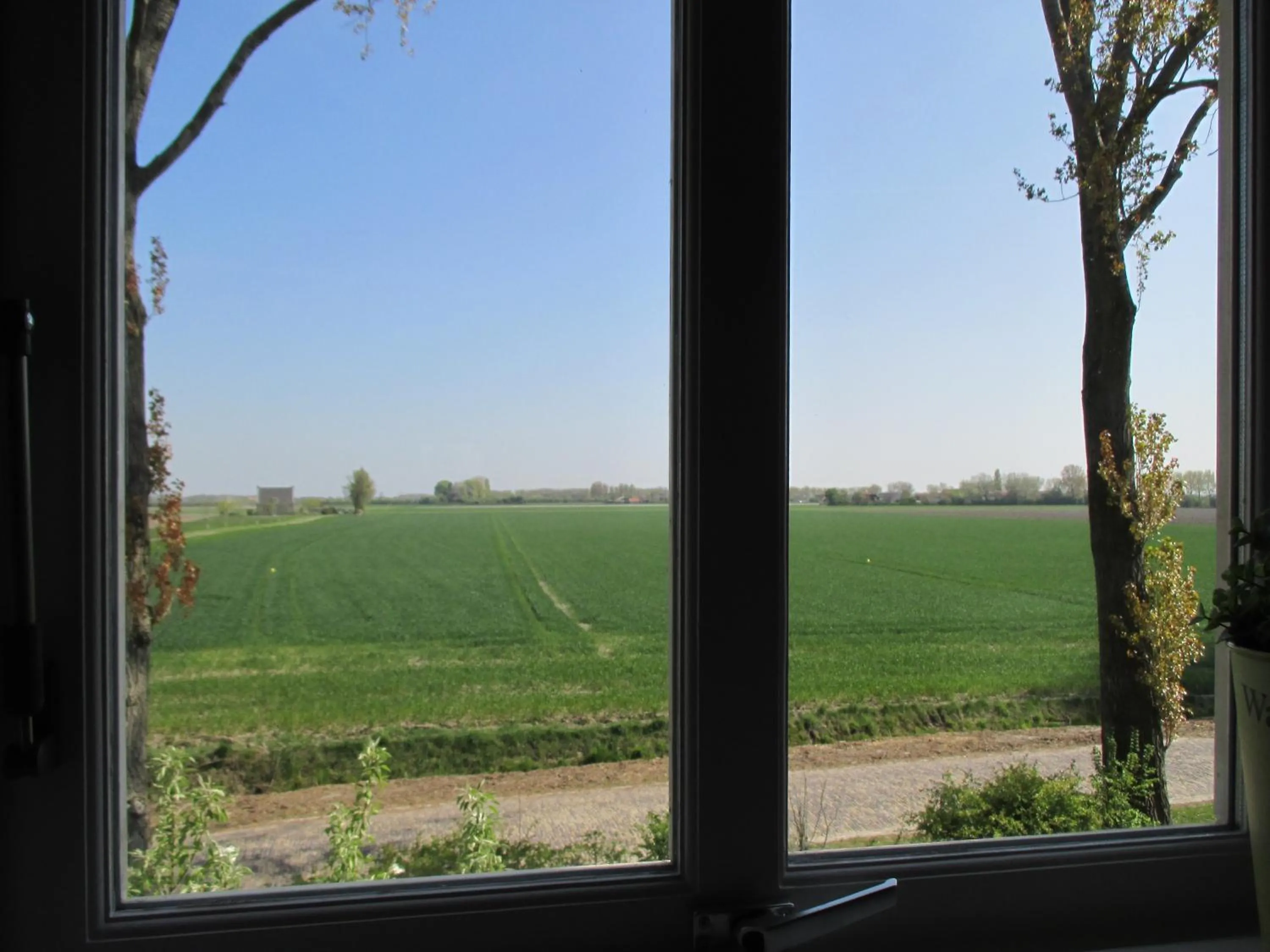 View (from property/room) in Klein Zeeduin