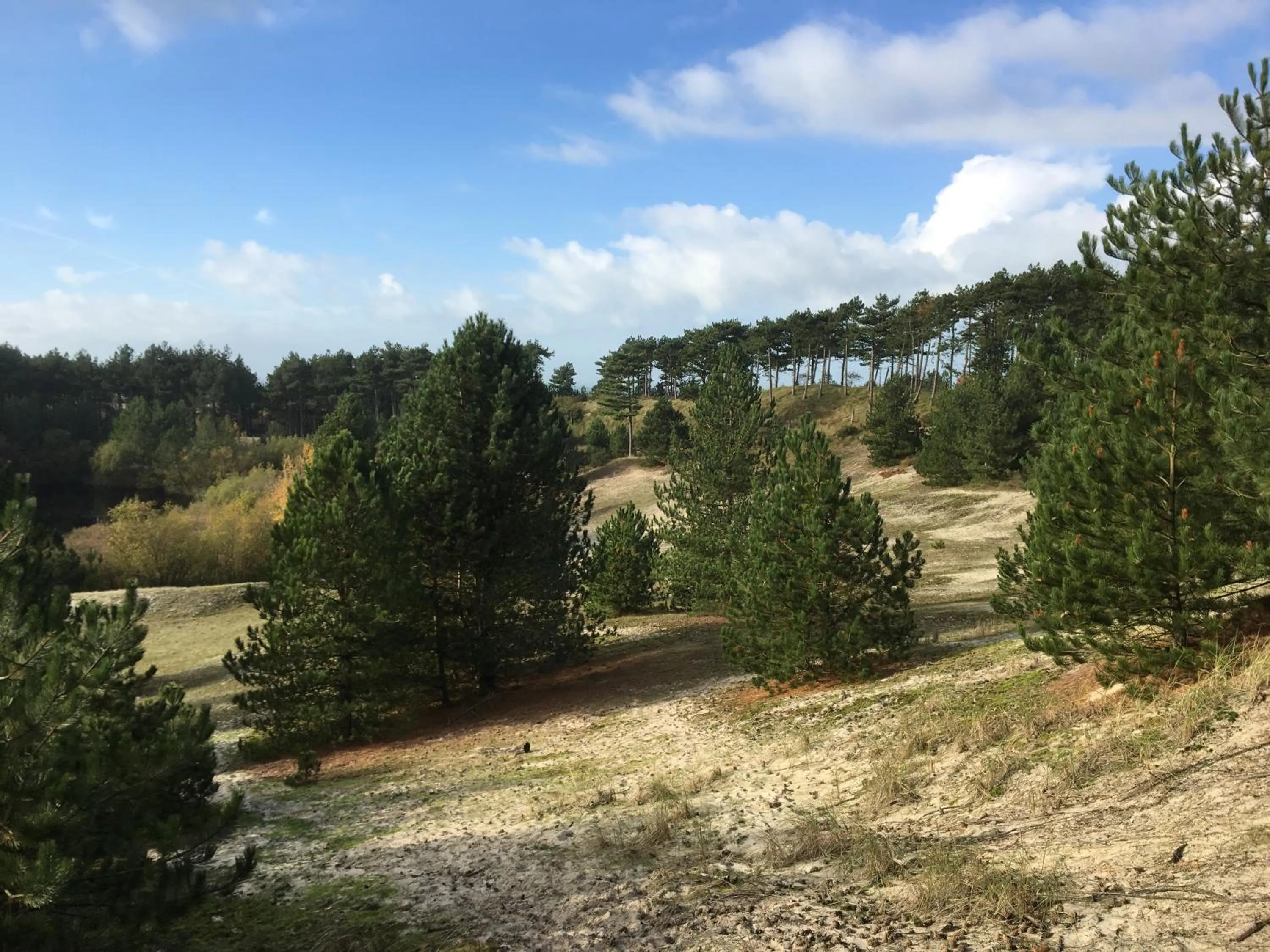 Natural landscape in Klein Zeeduin