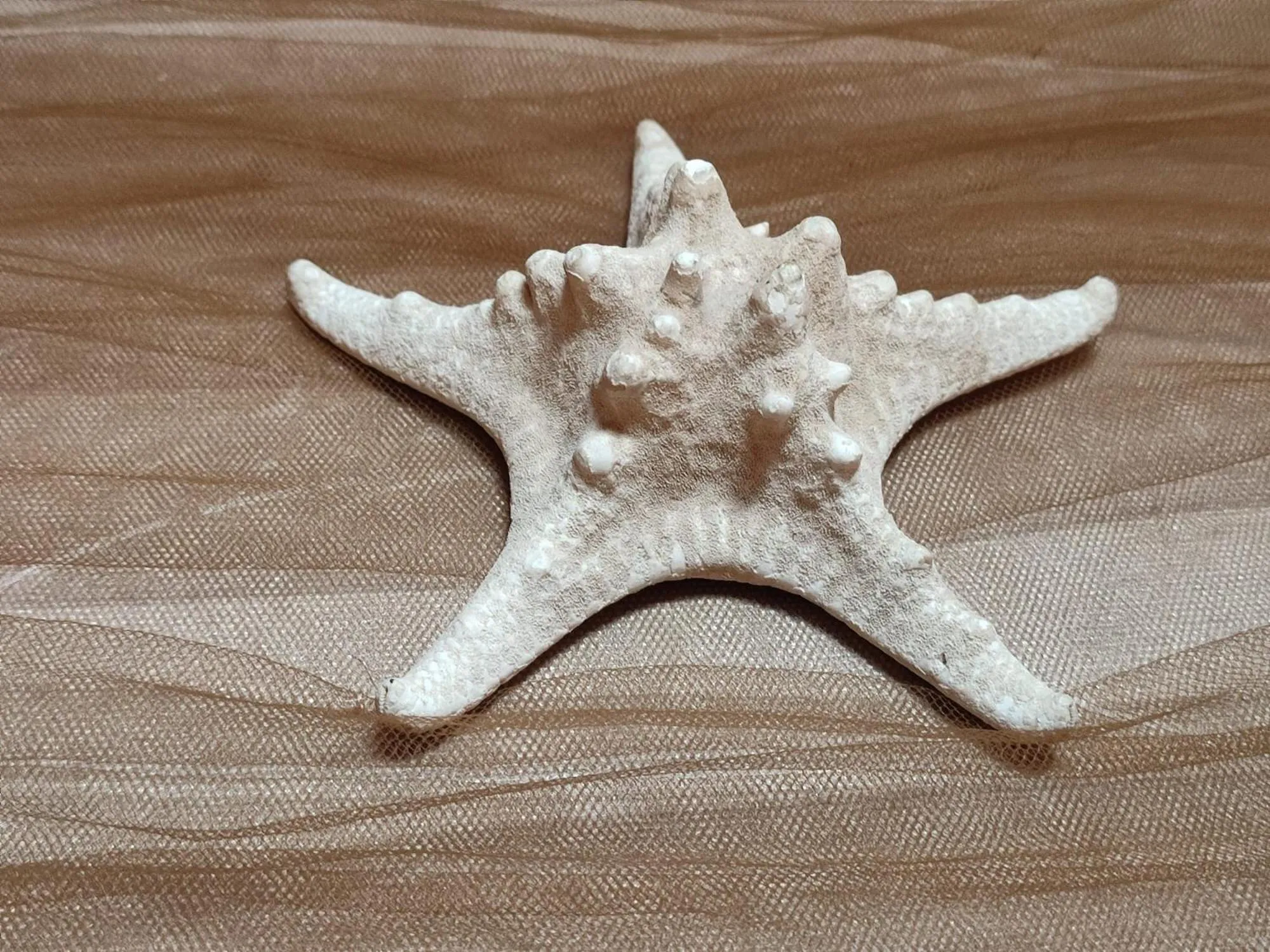 Property building in Affittacamere Shardana