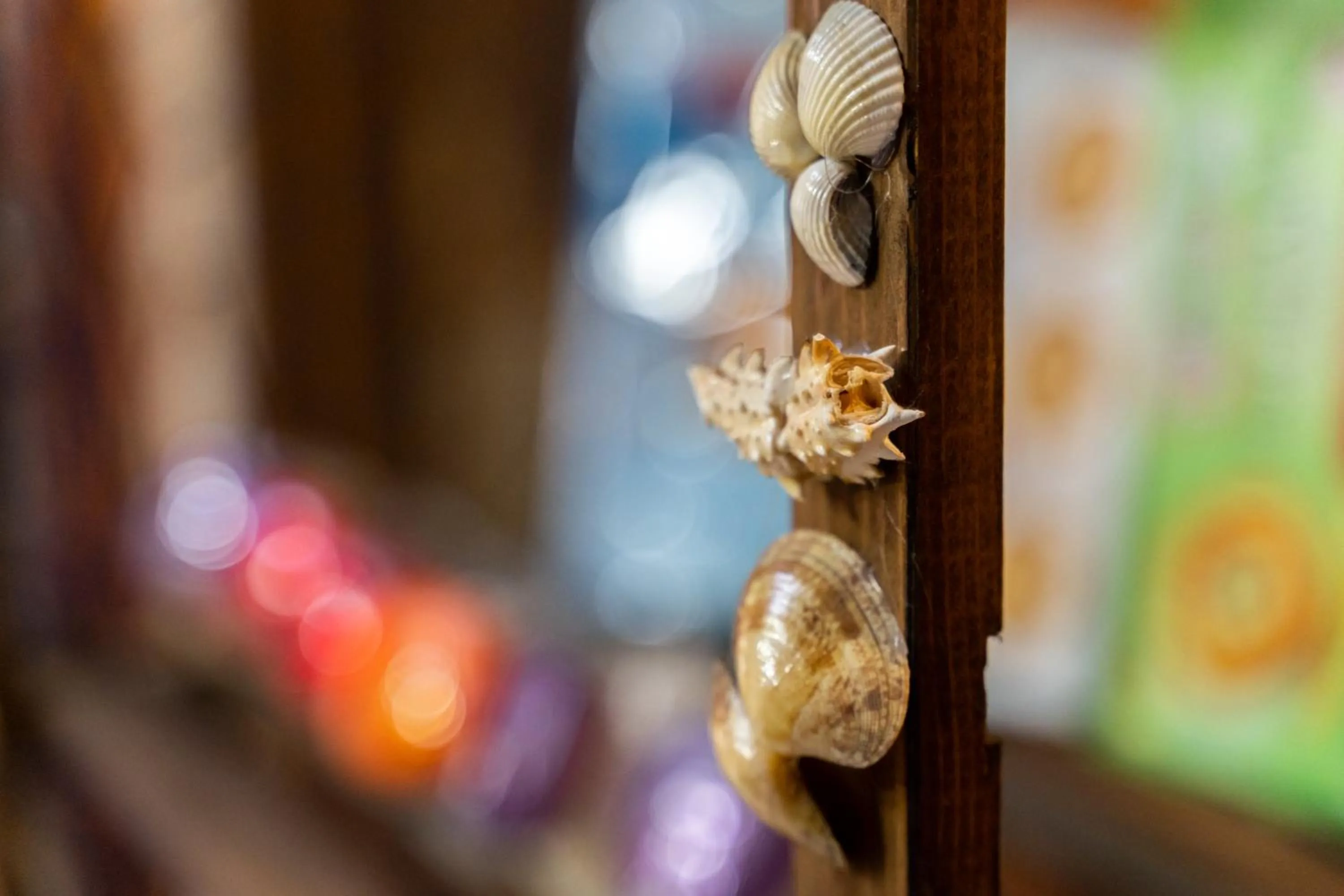 Affittacamere Shardana