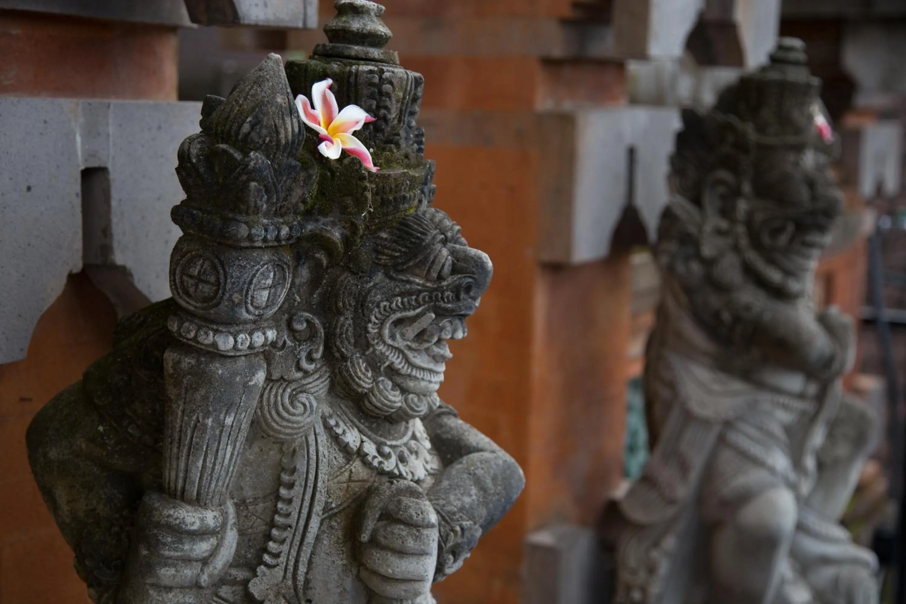 Other in Warji House 1 Ubud Centre