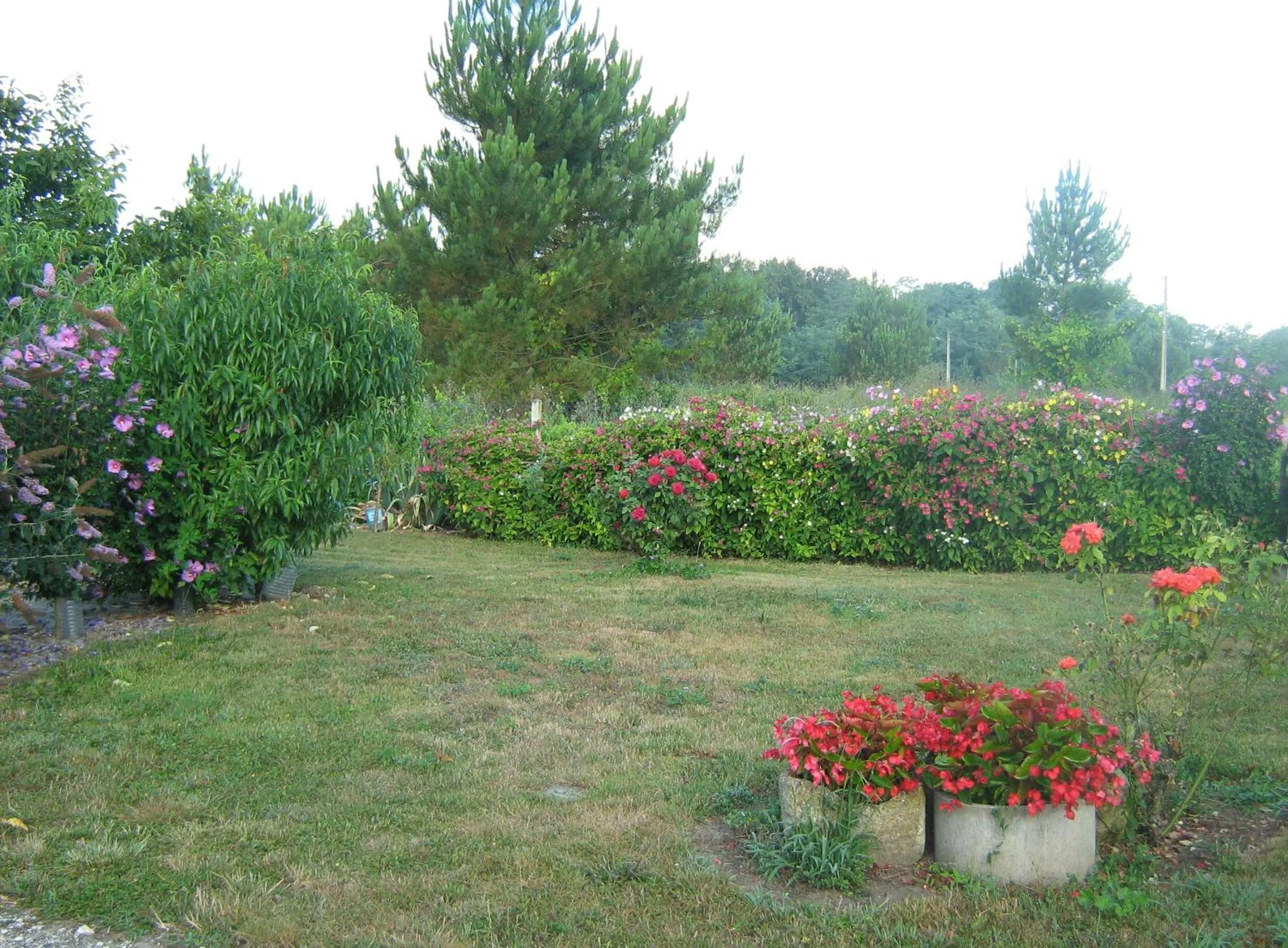 Garden in La Halte de Segondignac