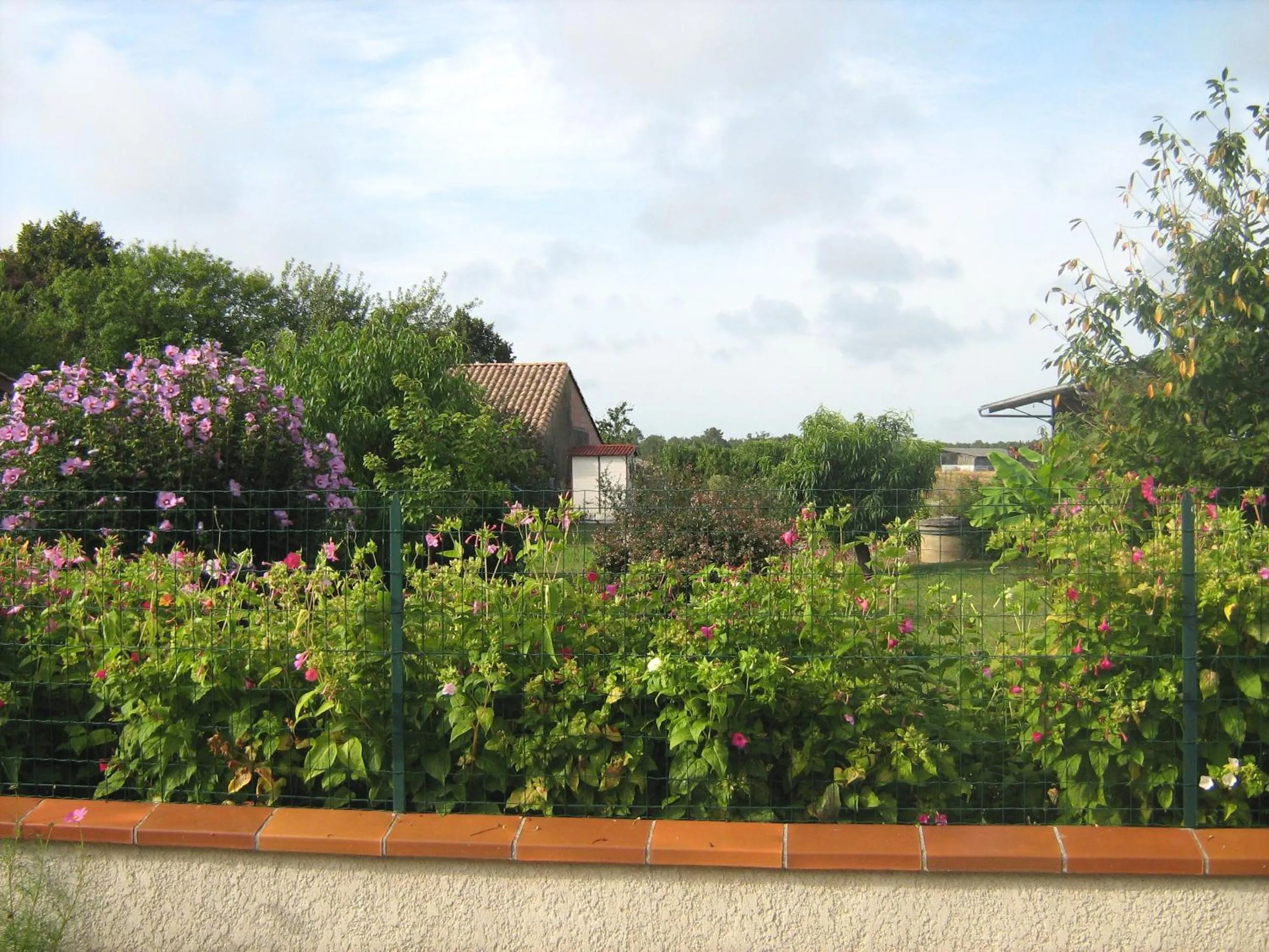 Garden view in La Halte de Segondignac