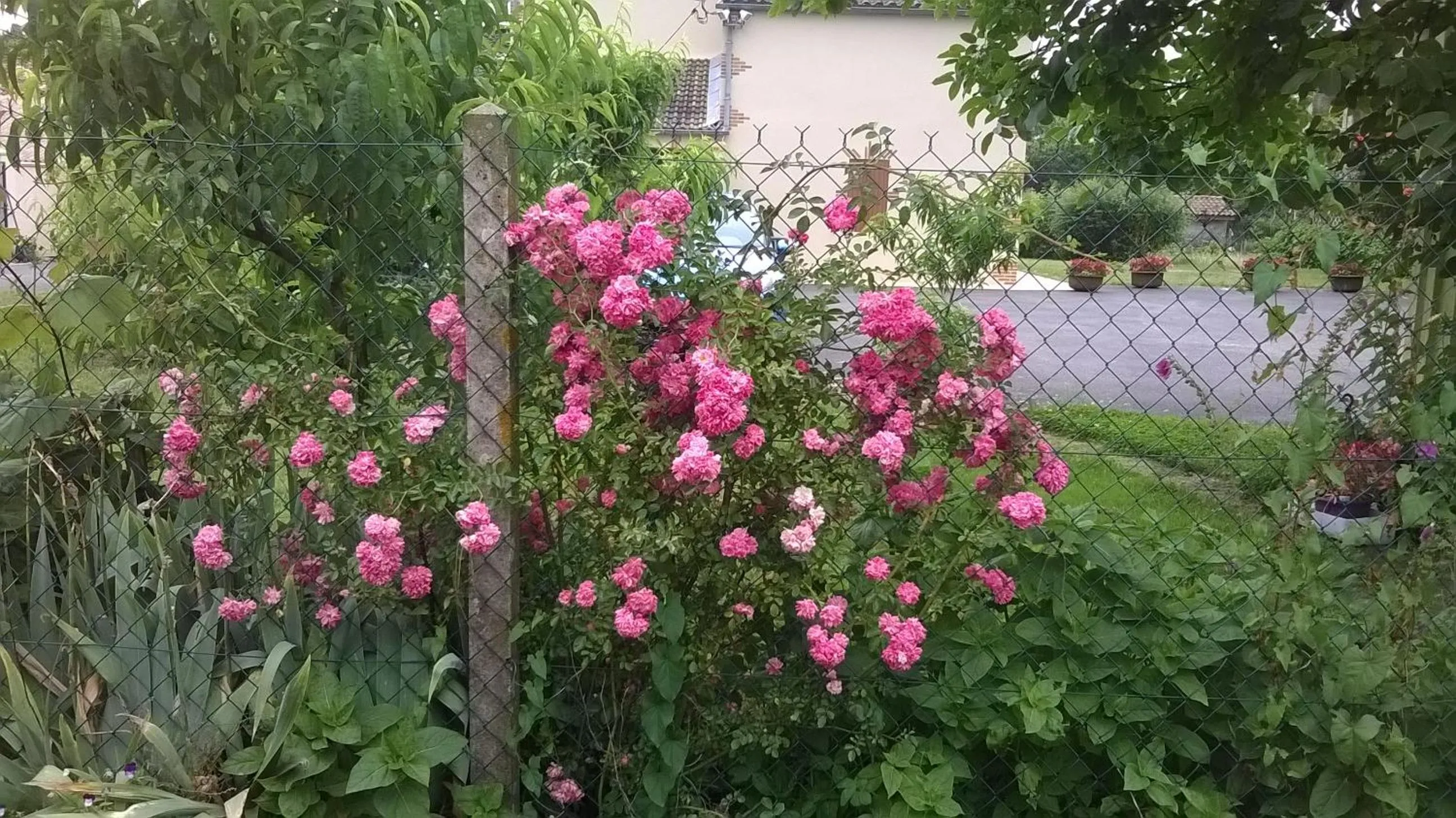 Day in La Halte de Segondignac