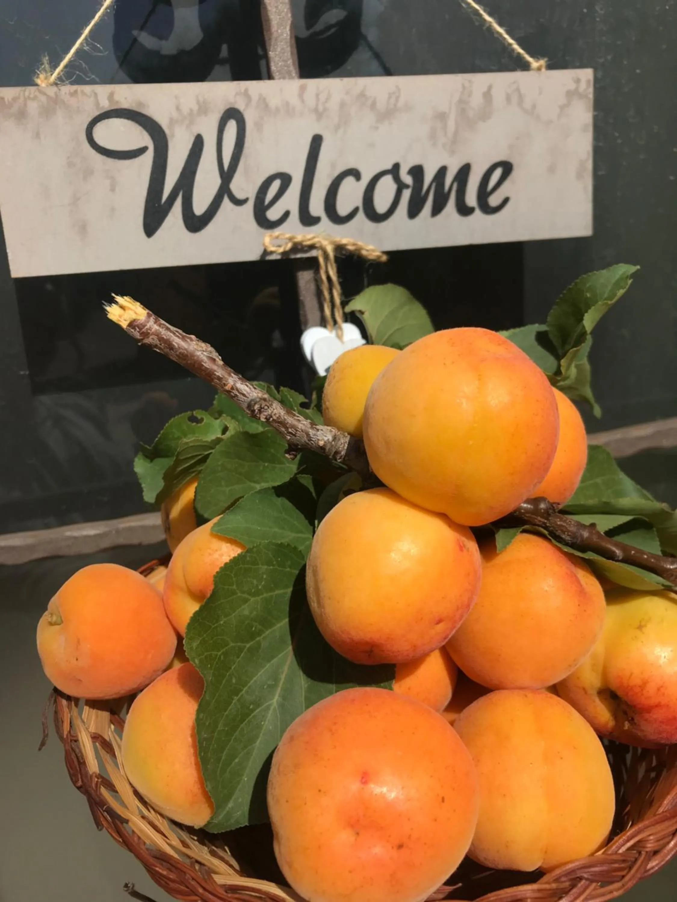 Abbraccio del Carrubo