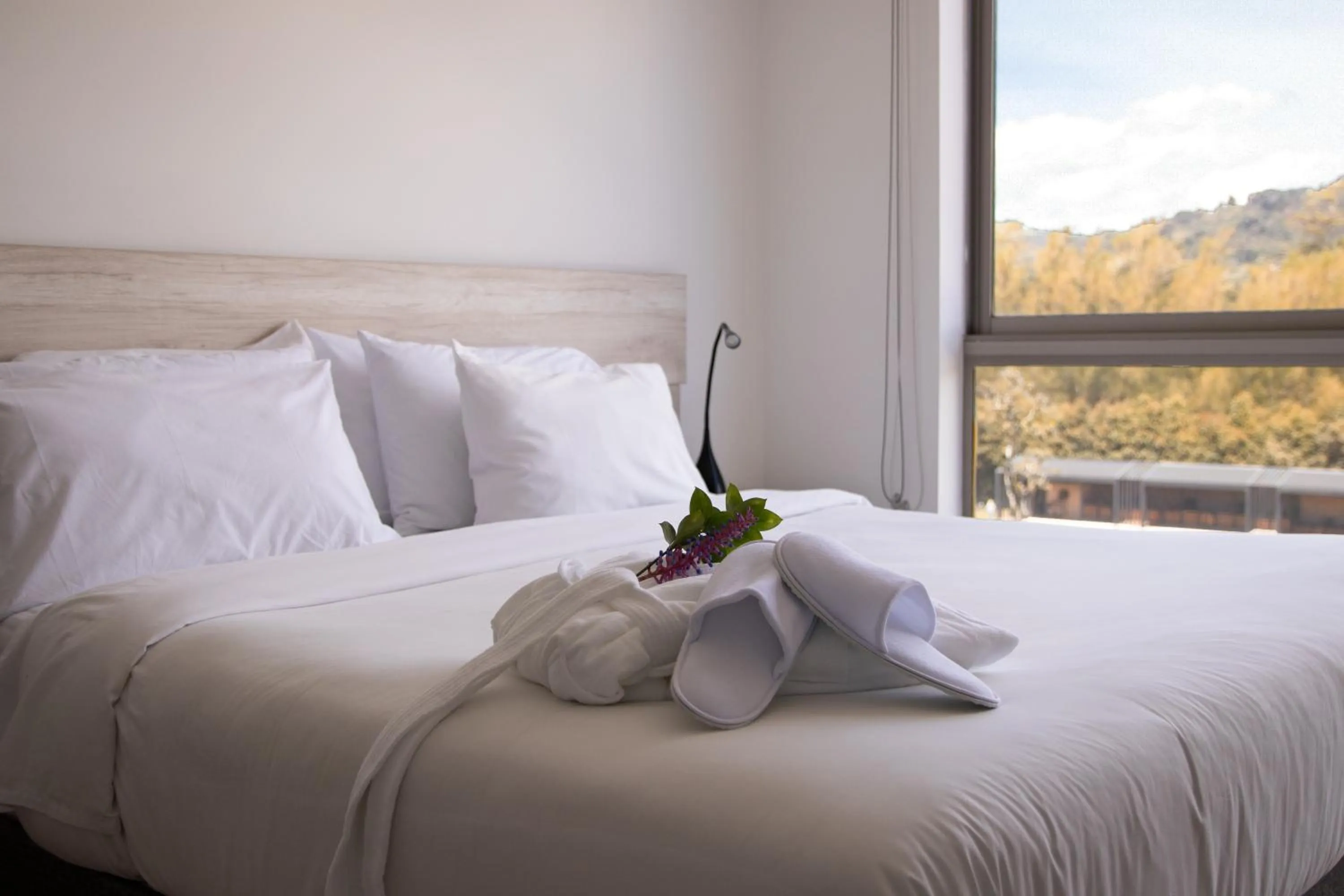 Bed in MG Hotels & Suites