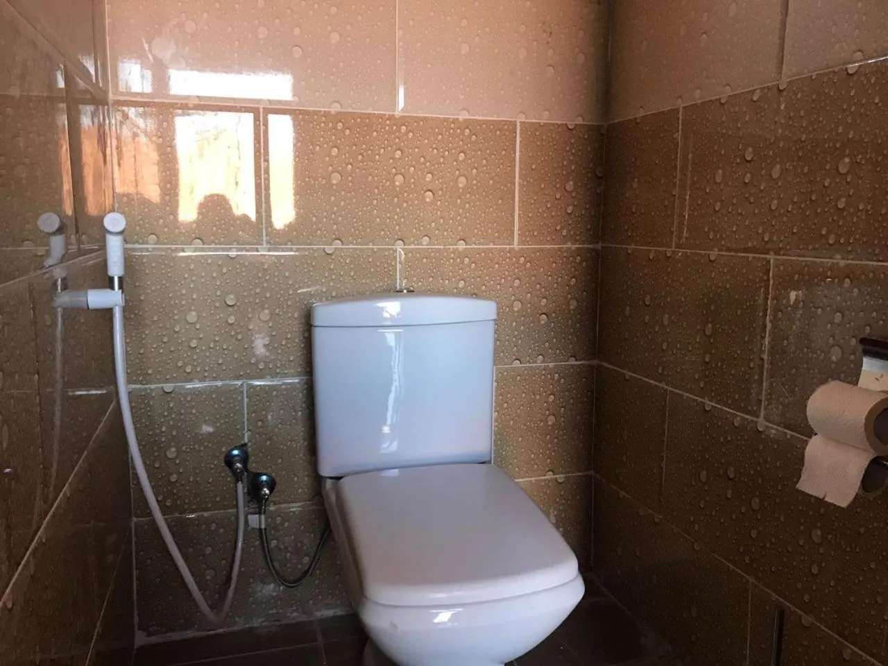 Wadi Rum Quiet Village Camp