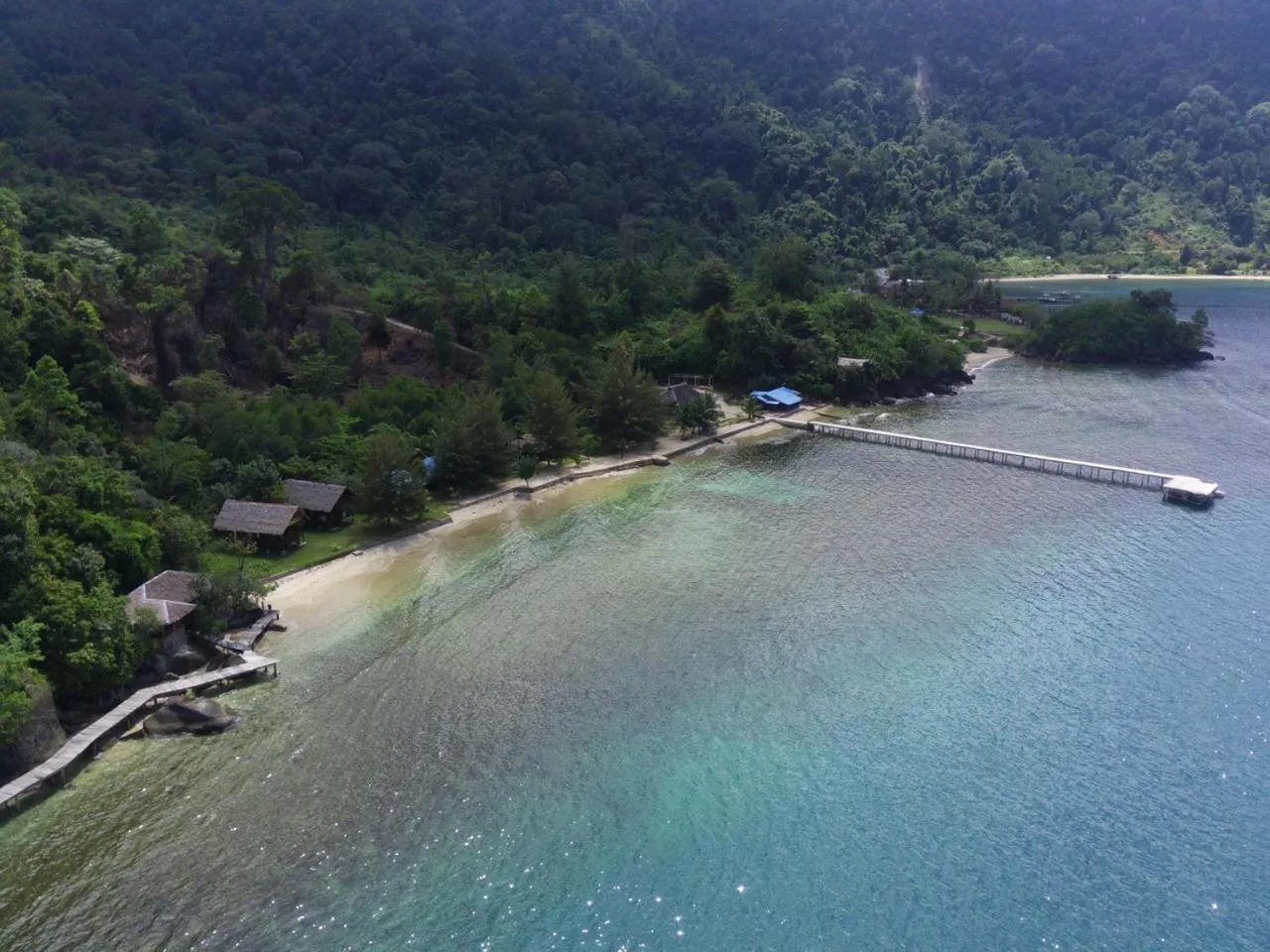 Natural landscape in Ricky's Beach House