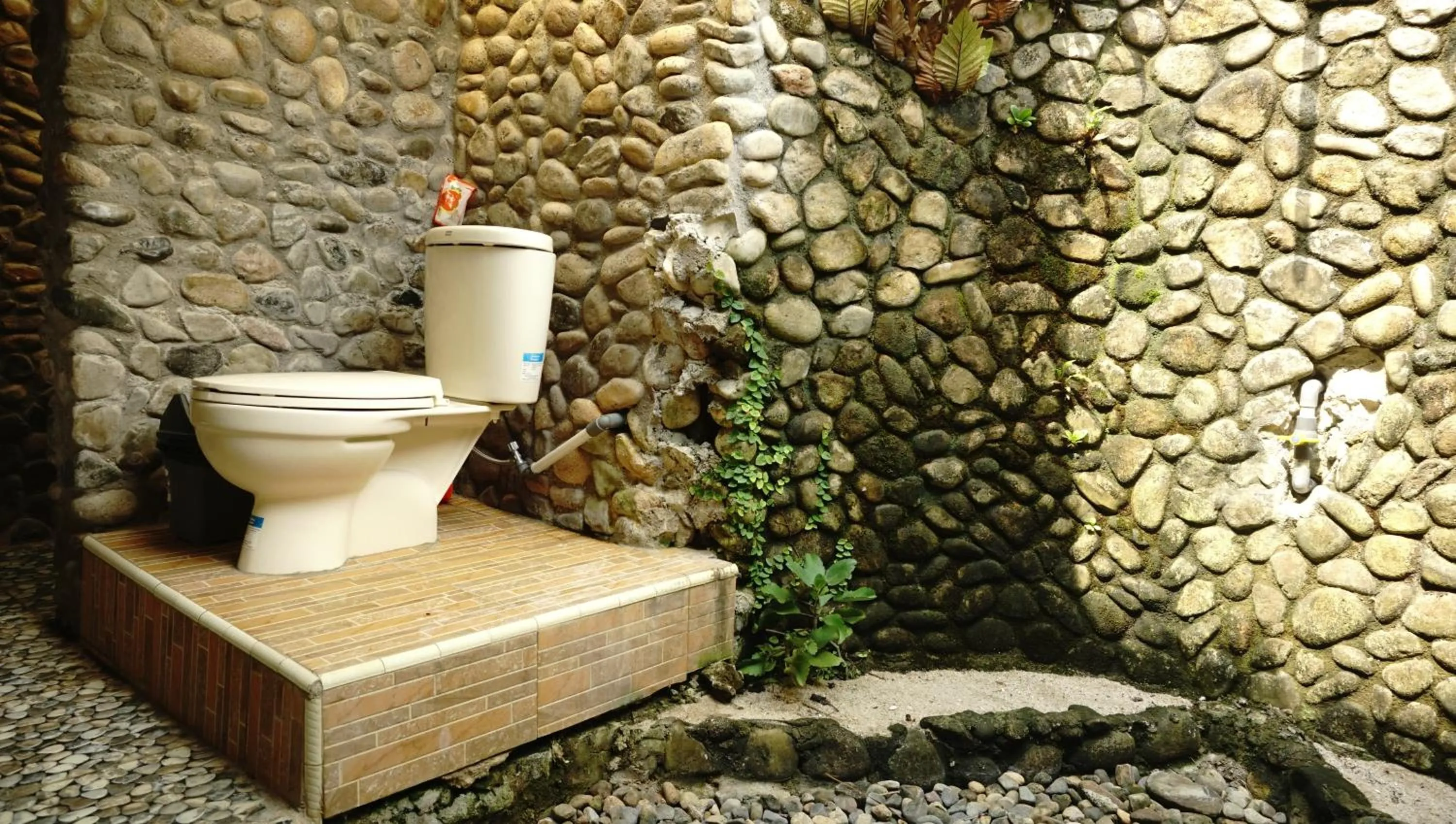 Bathroom in Ricky's Beach House