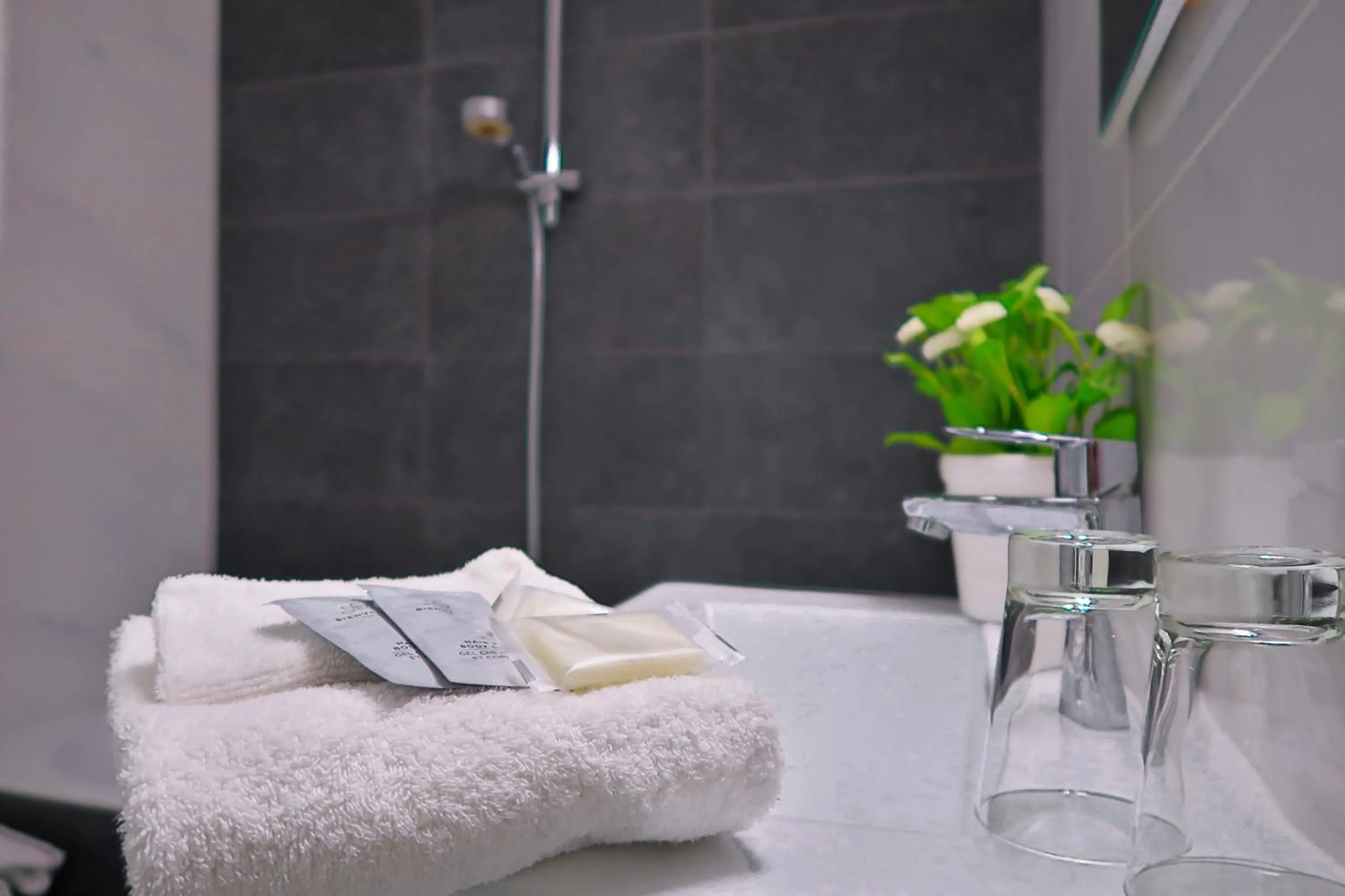 Shower, Bed in Hotel Adoma