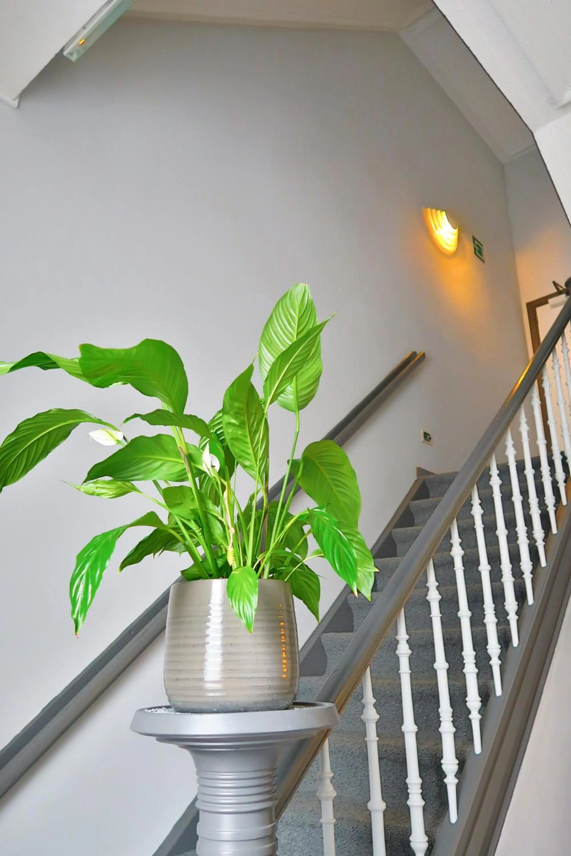 Other in Hotel Adoma