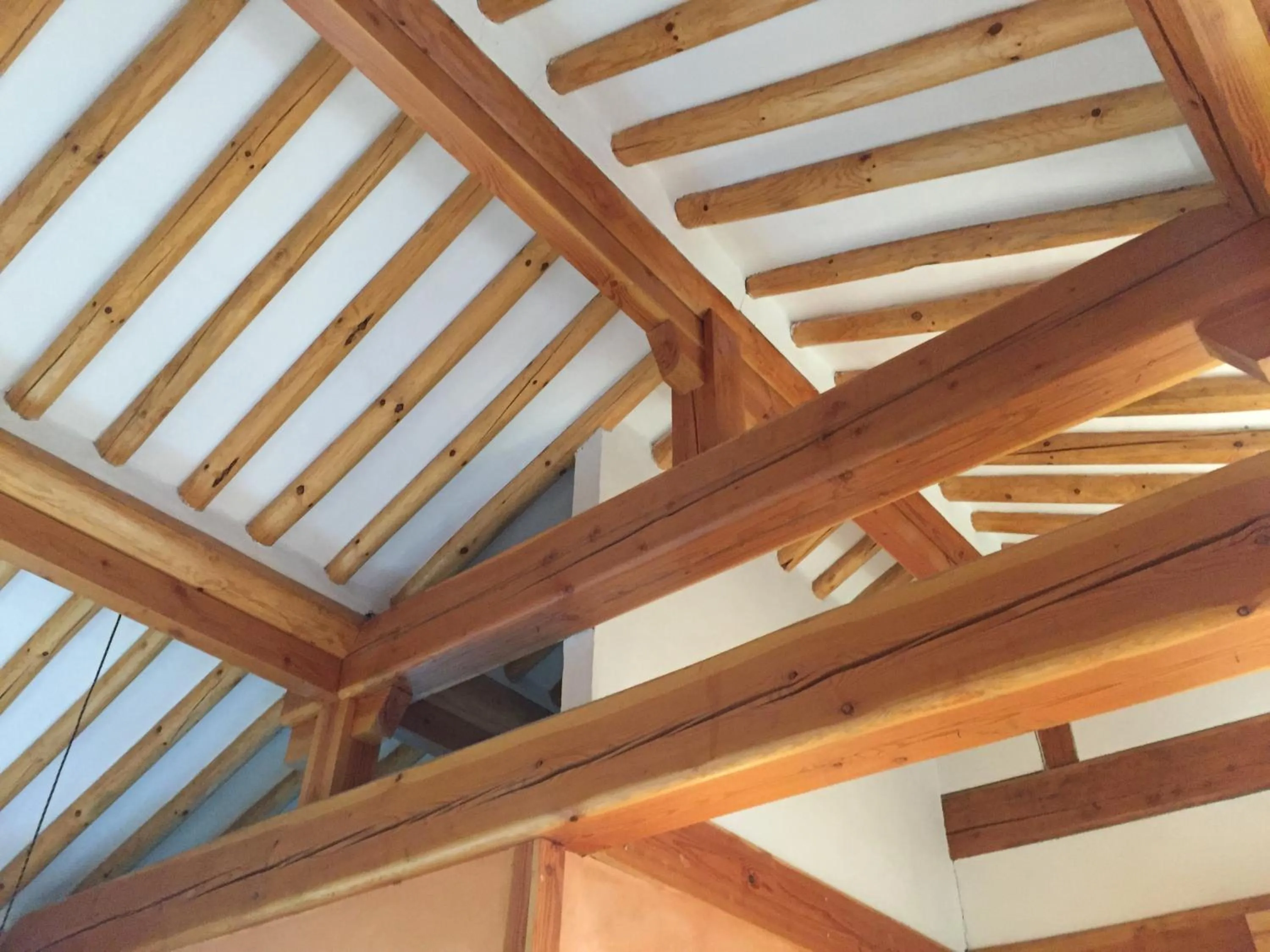 Other in Dorandoran Guesthouse