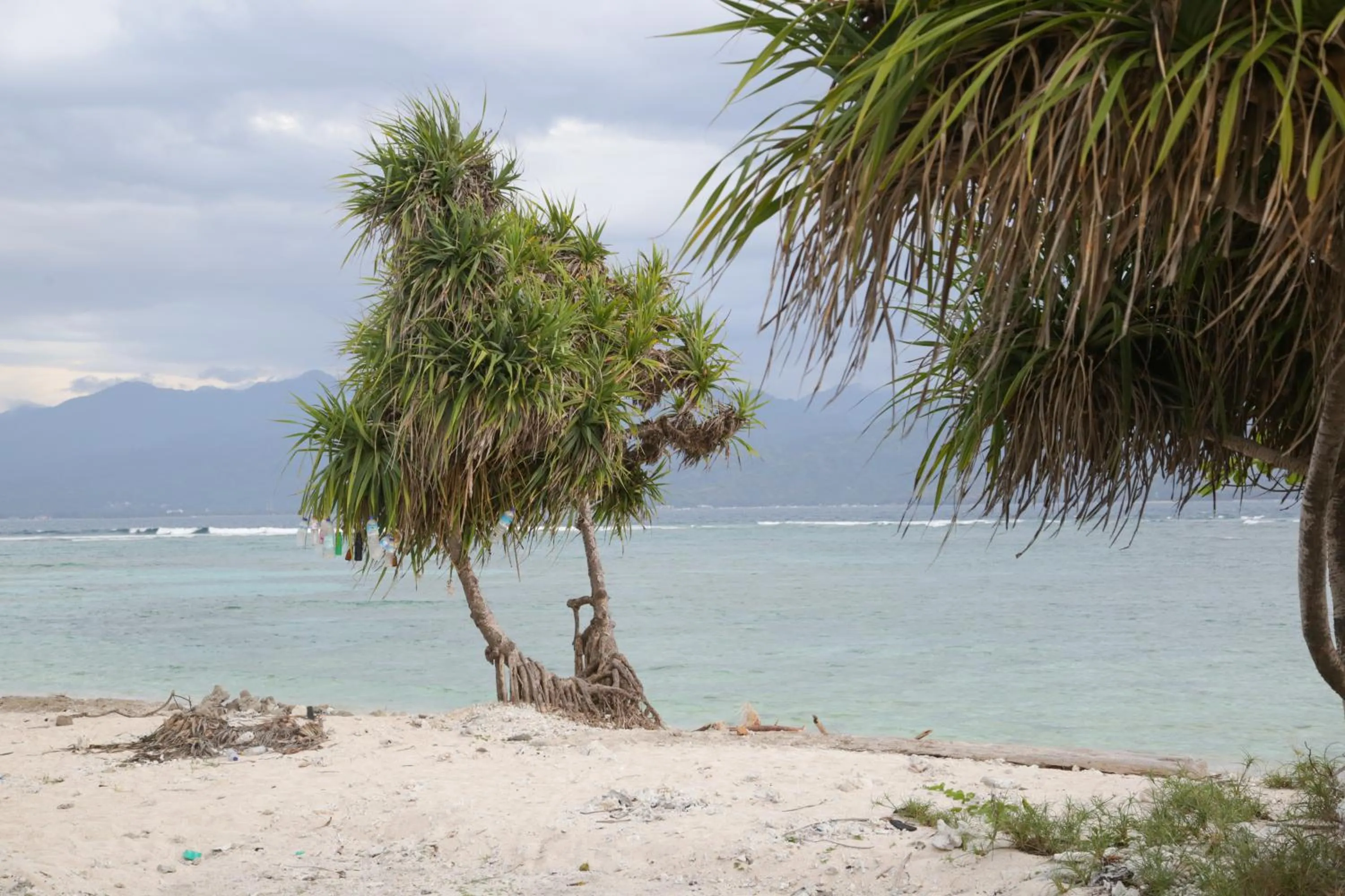 Beach in Villas Edenia - Luxe Villas with Private Pools