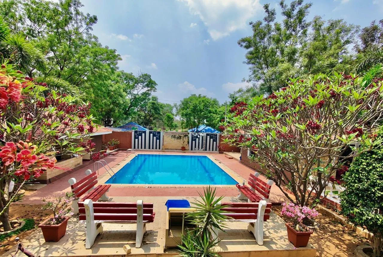 Button Eyes Resort - Pet friendly