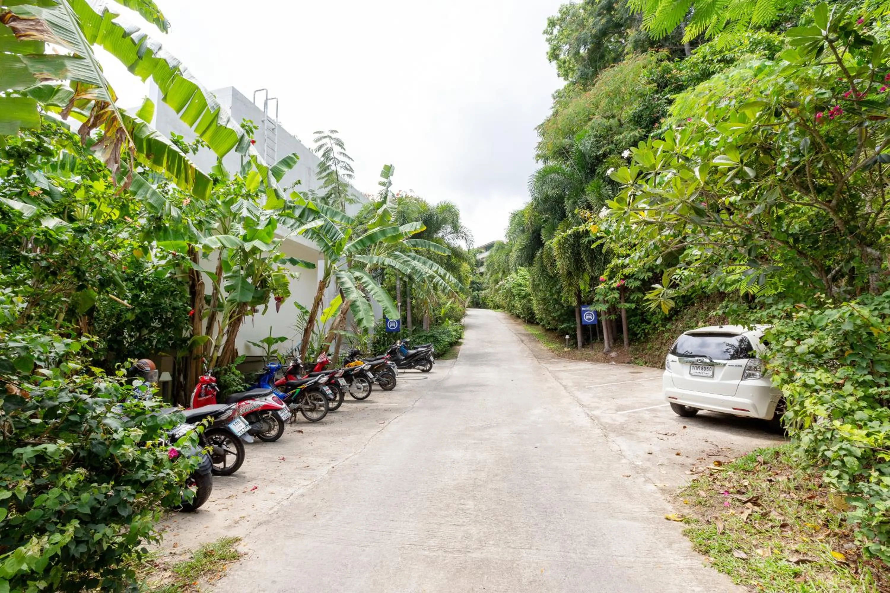 Neighbourhood in Amala Grand Bleu Resort Hilltops - SHA