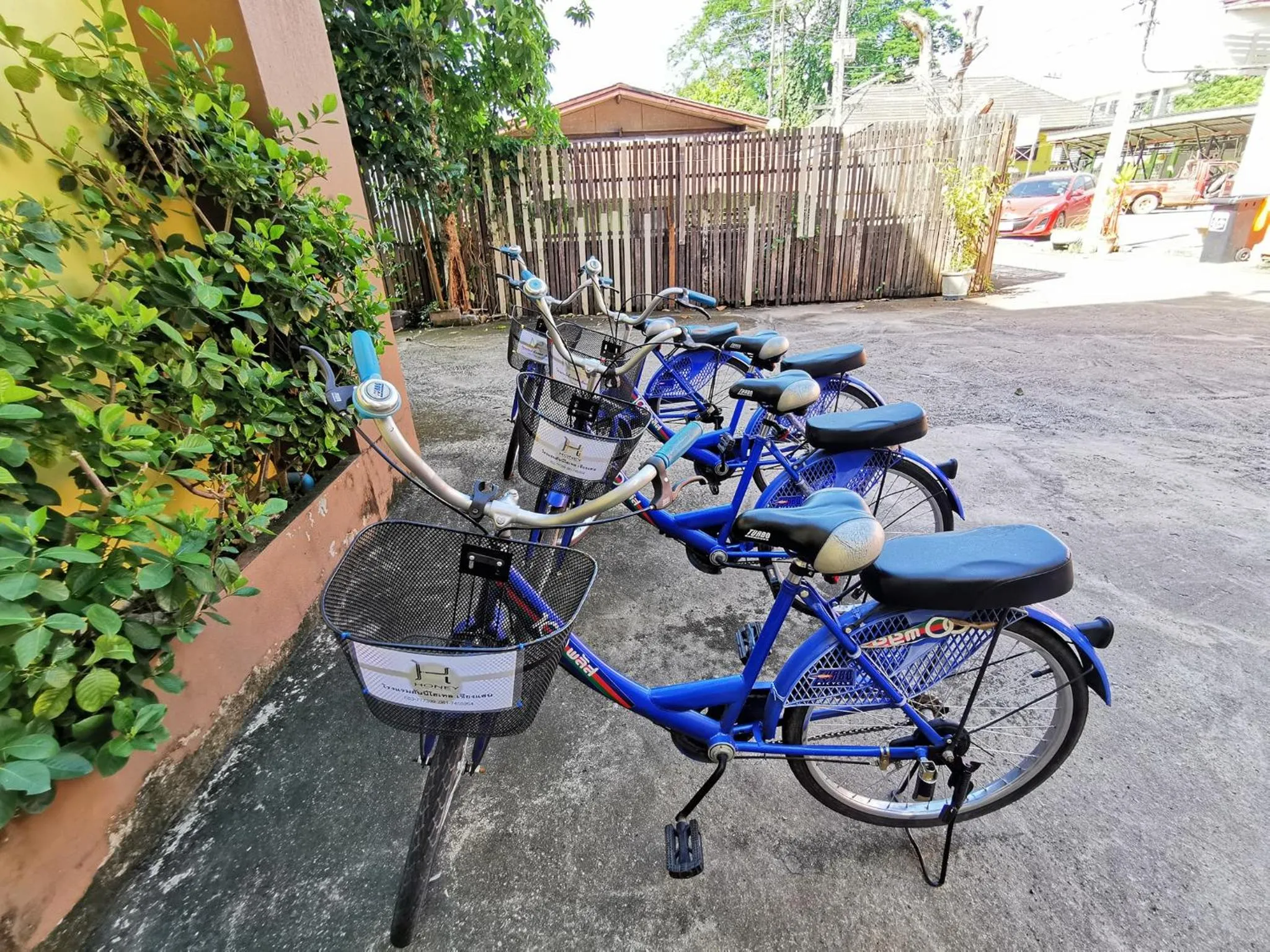 Area and facilities in Honey Hotel Chiang Saen