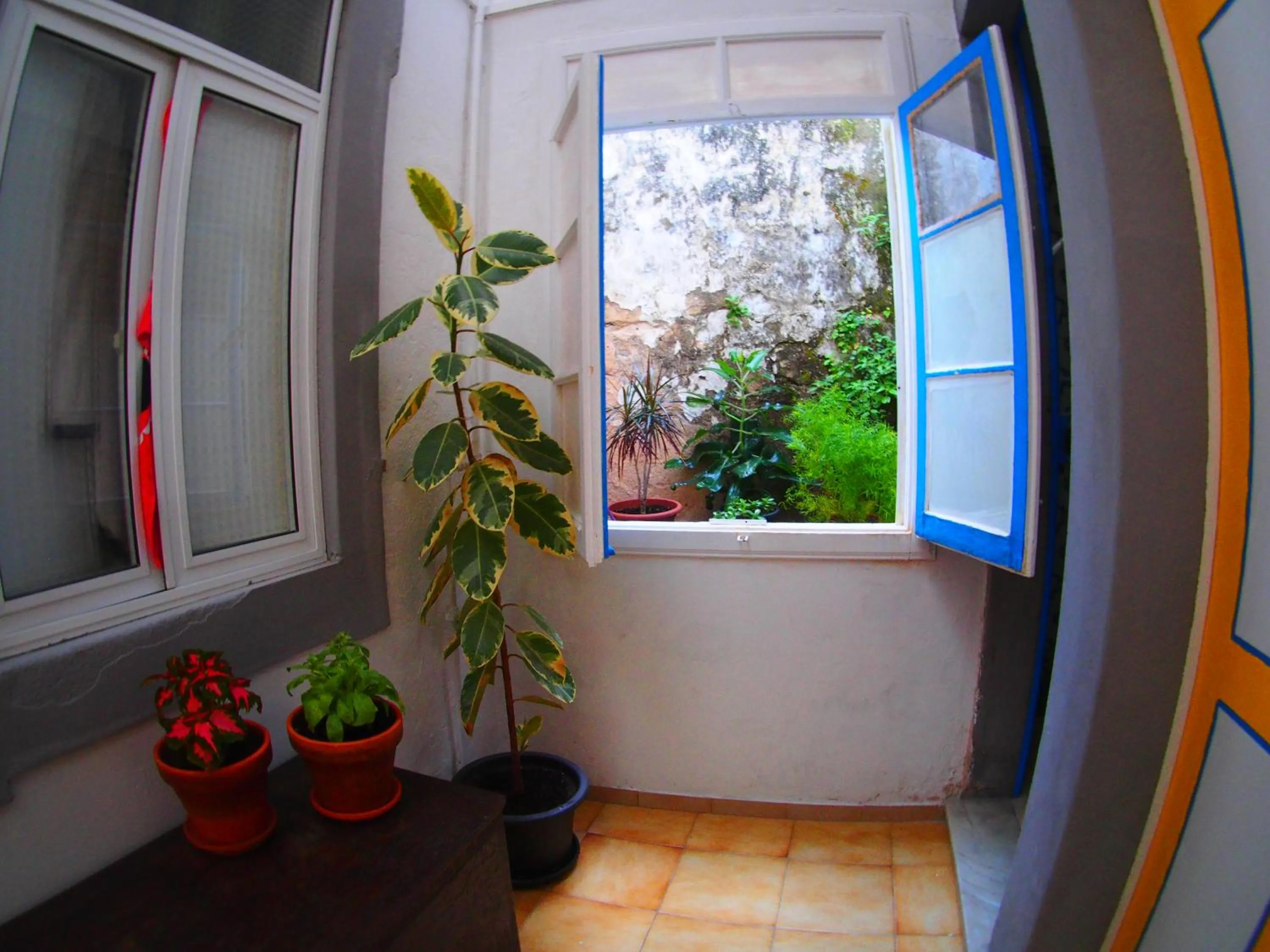 RIA Terrace
