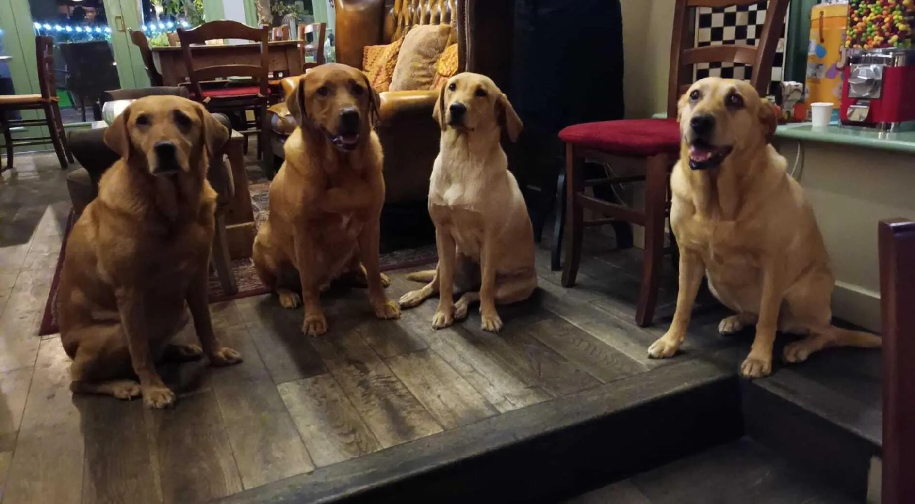 Lounge or bar in The Three Cups Inn