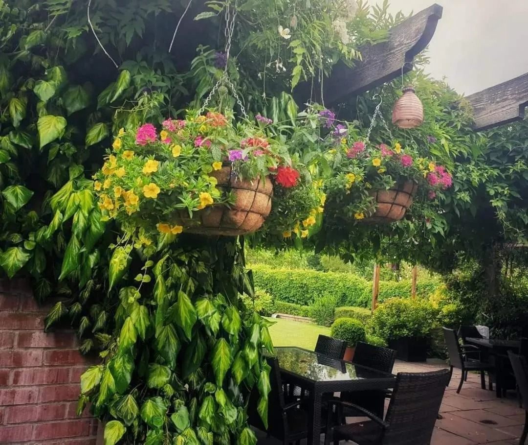 Patio in The Three Cups Inn