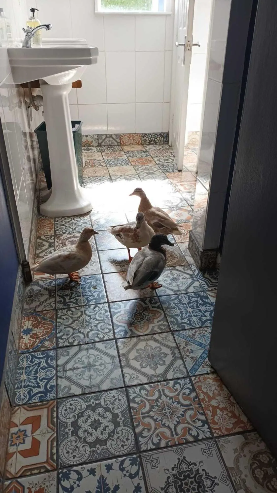 Bathroom in The Three Cups Inn
