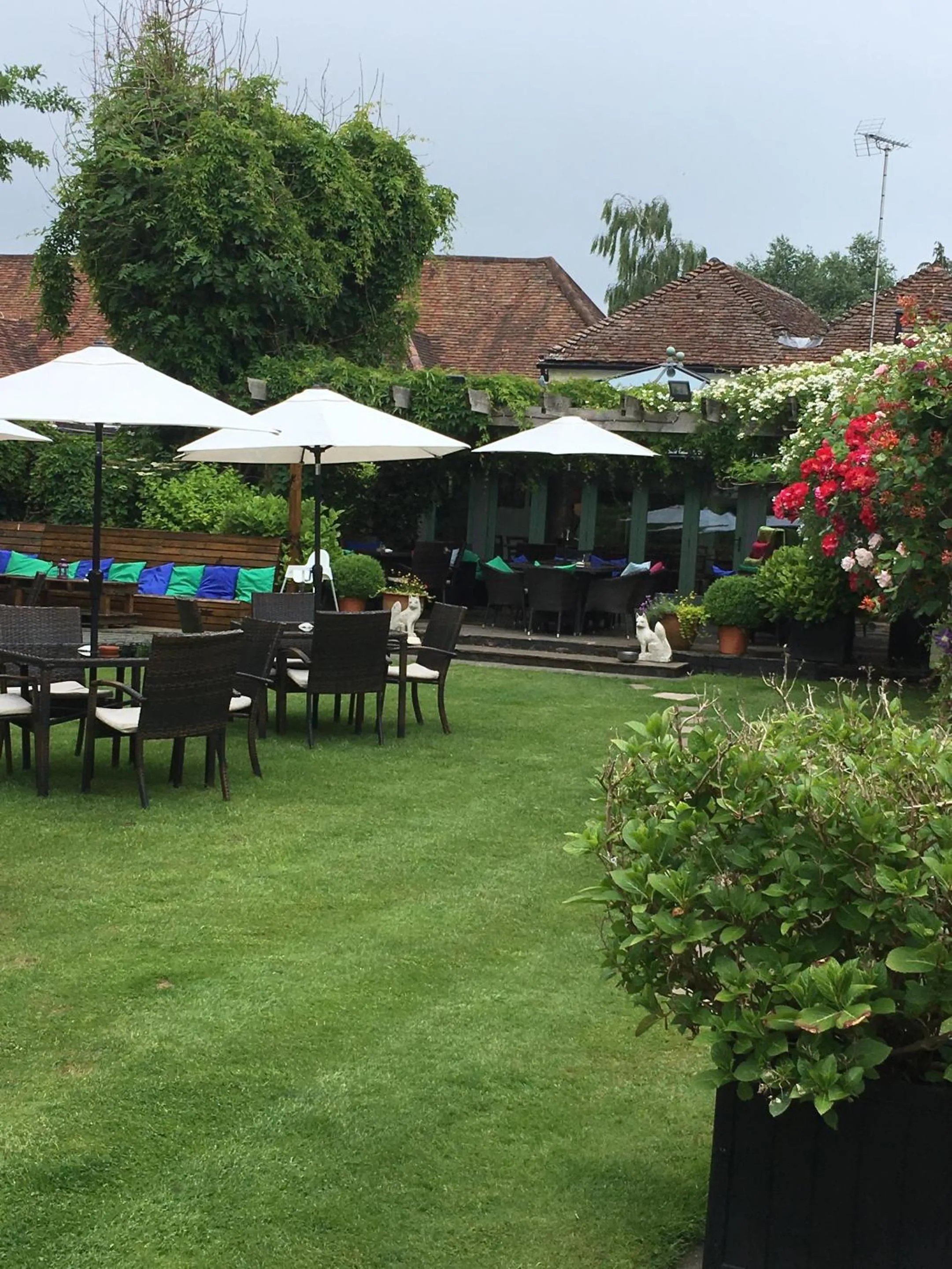 Garden in The Three Cups Inn