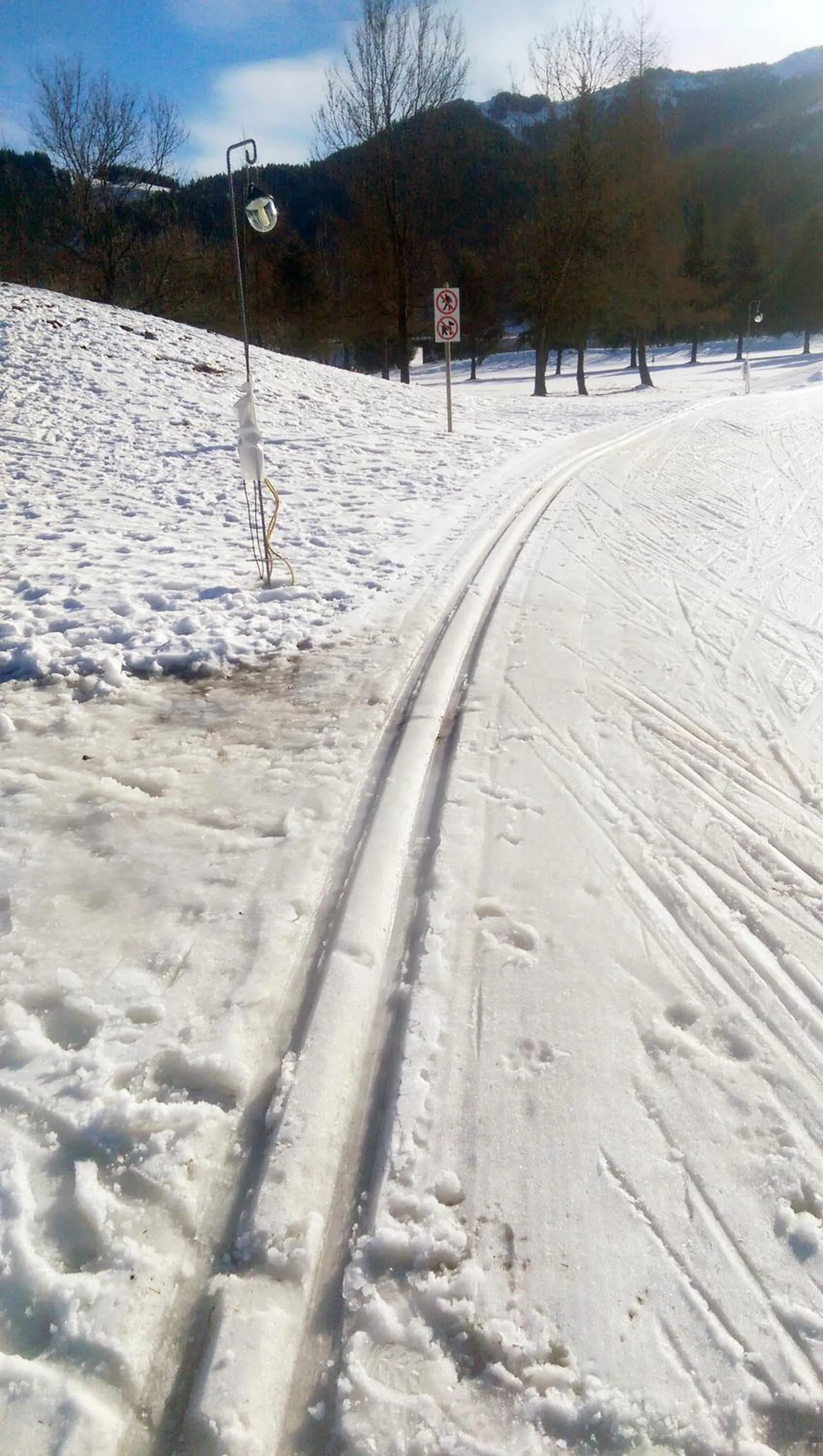 Skiing in Haus Aschenwald