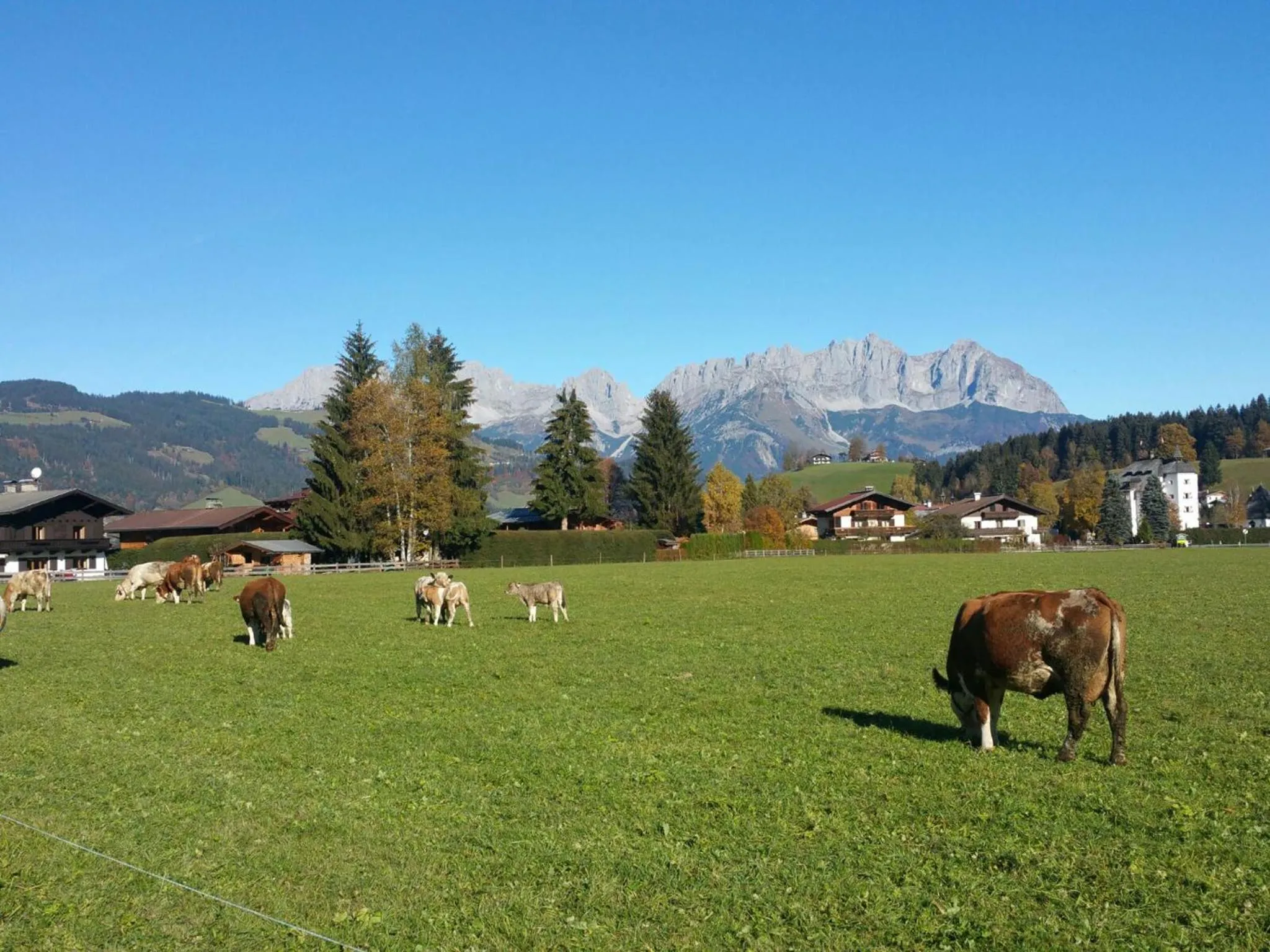 Hiking in Haus Aschenwald
