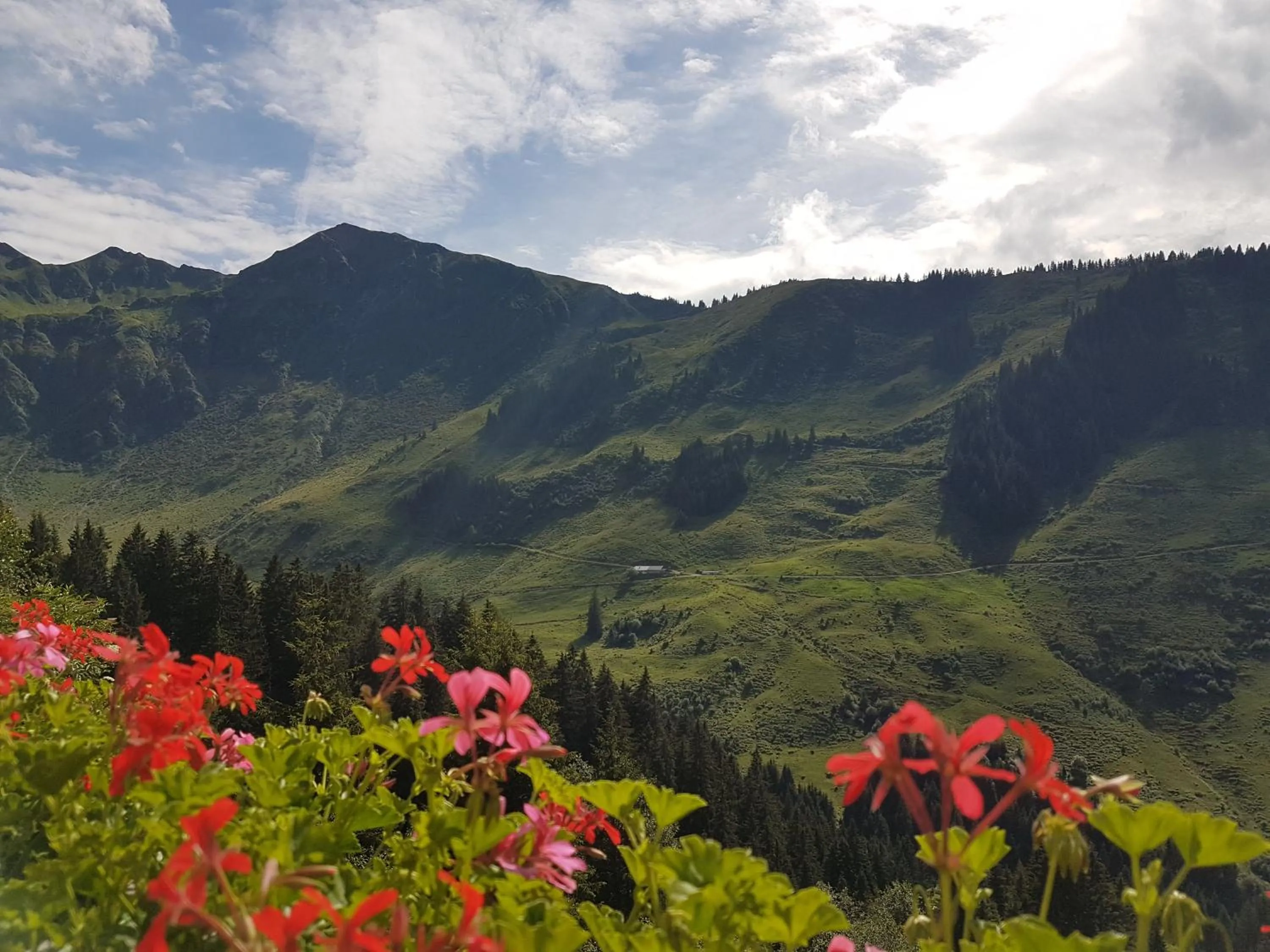 Hiking in Haus Aschenwald
