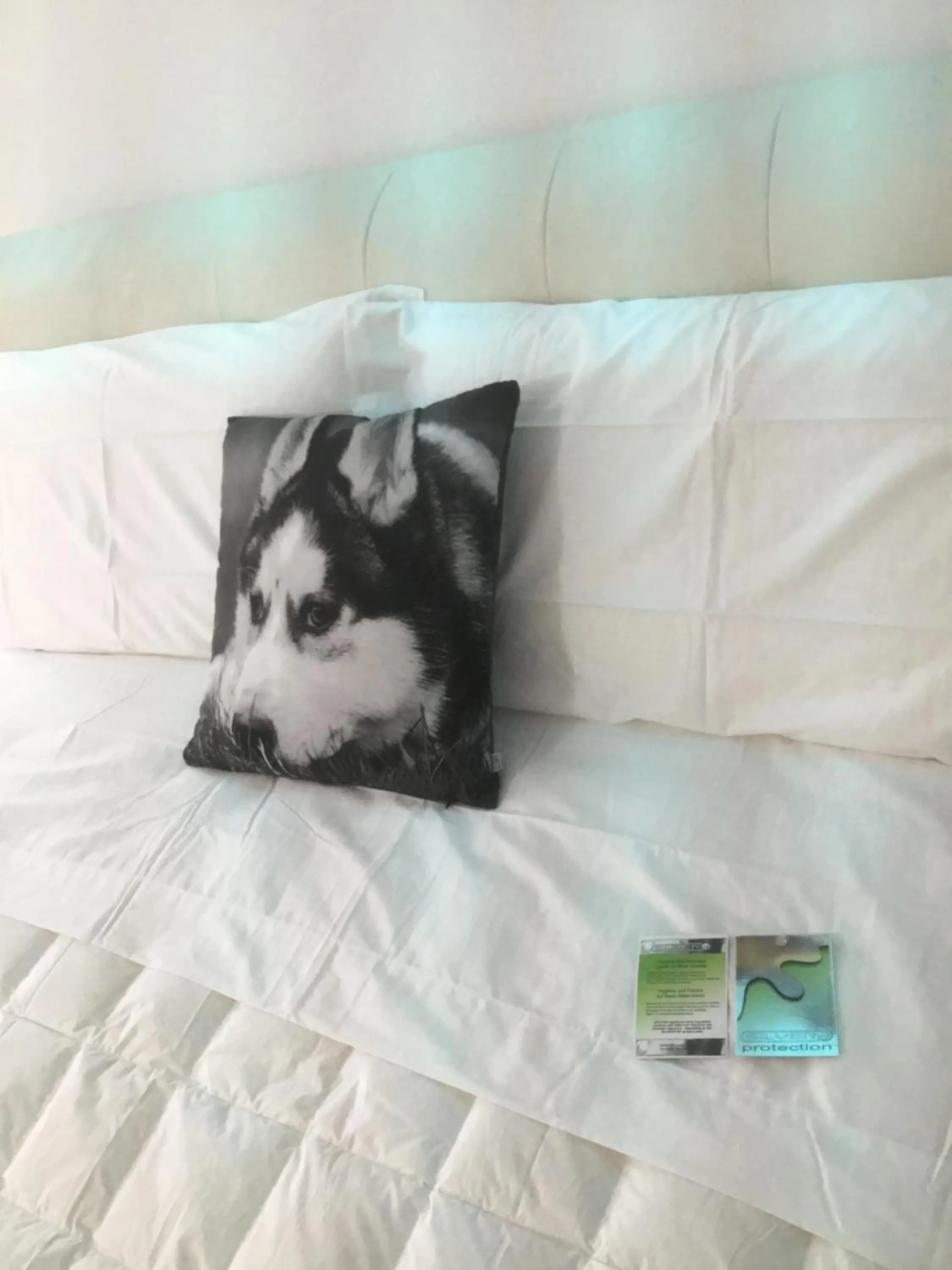 Bed in White Dream Suites