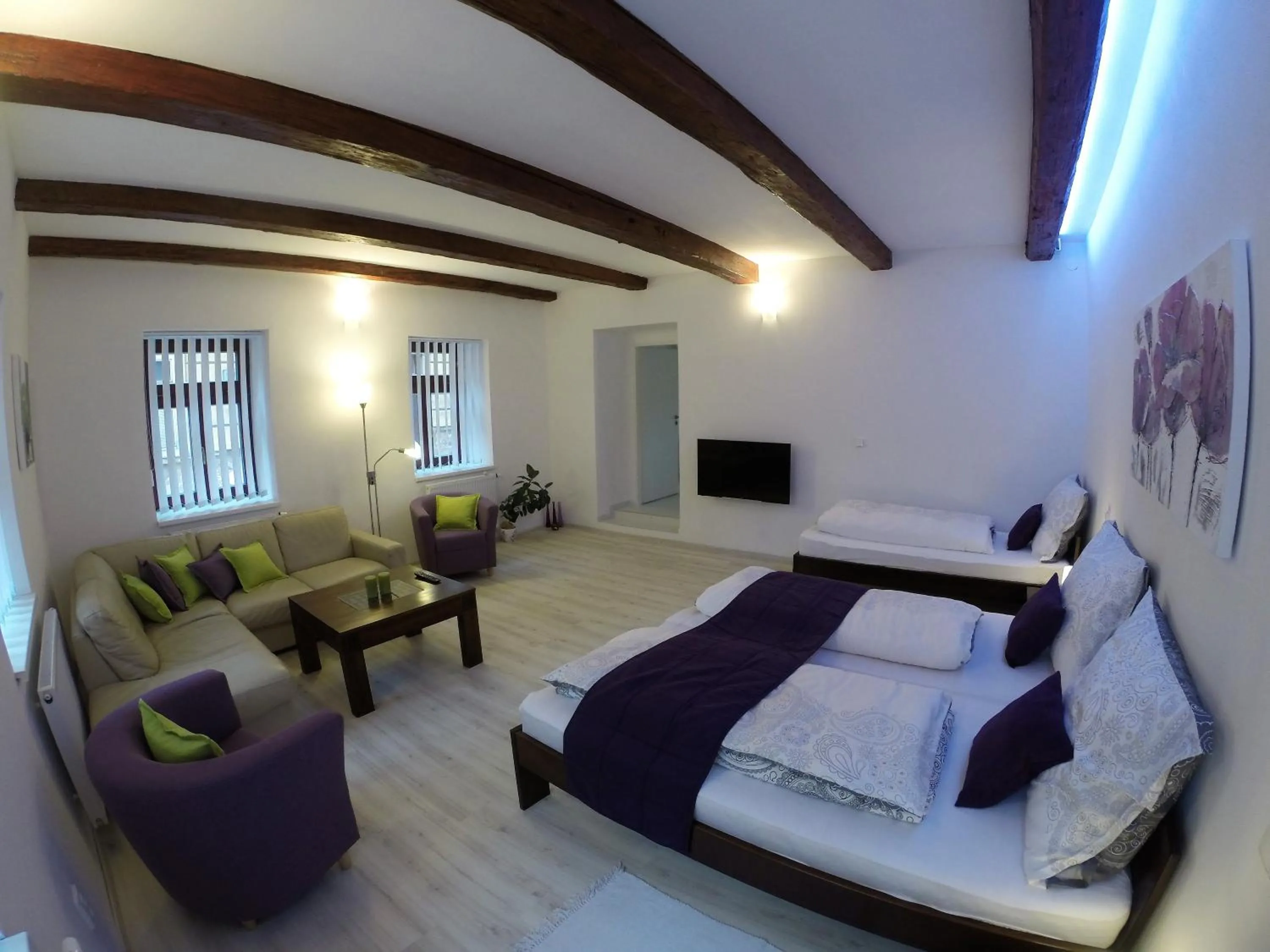 Superior Apartment - single occupancy in Apartmány Cechovní