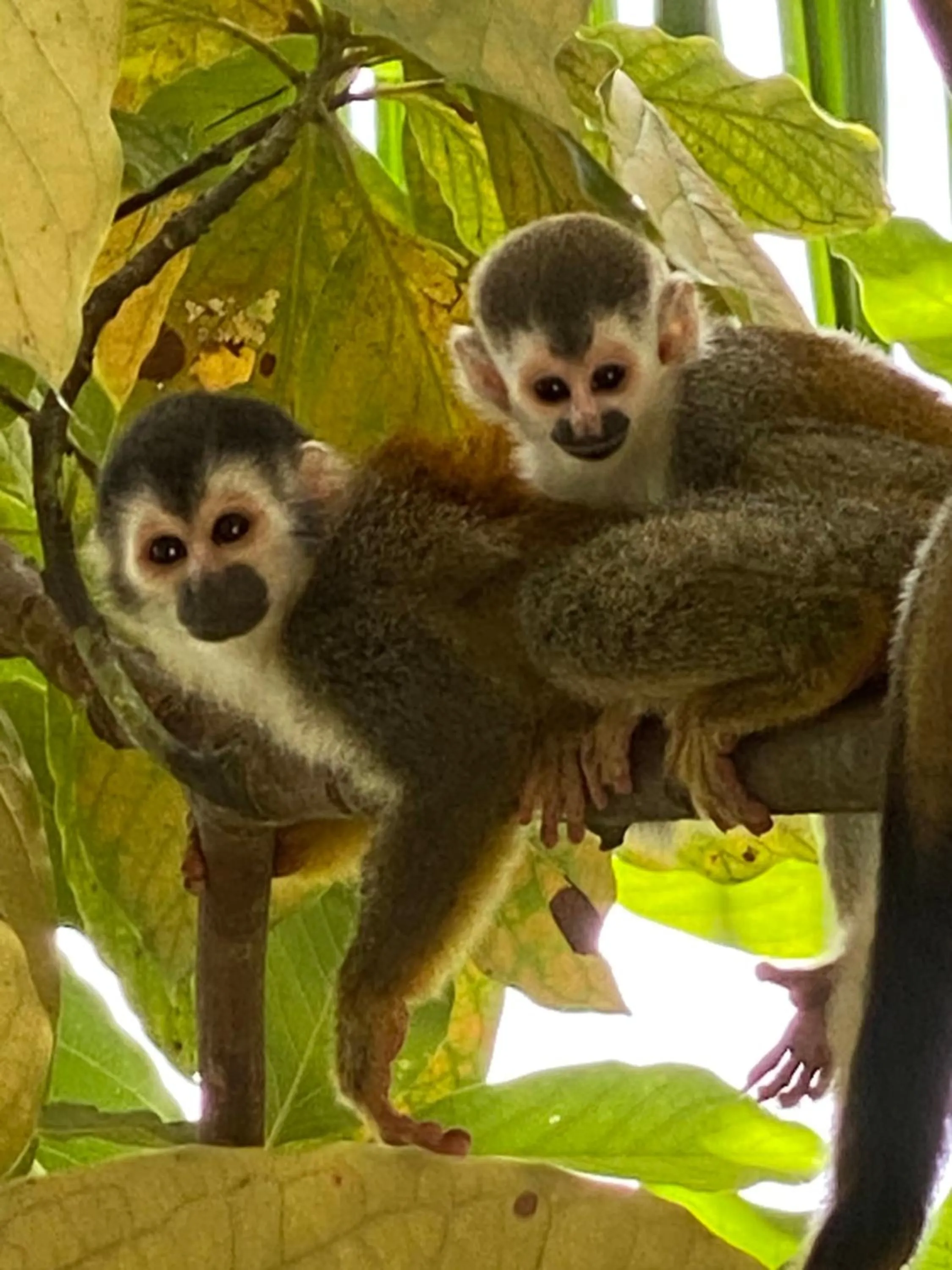 Nearby landmark in Casa Libertinn