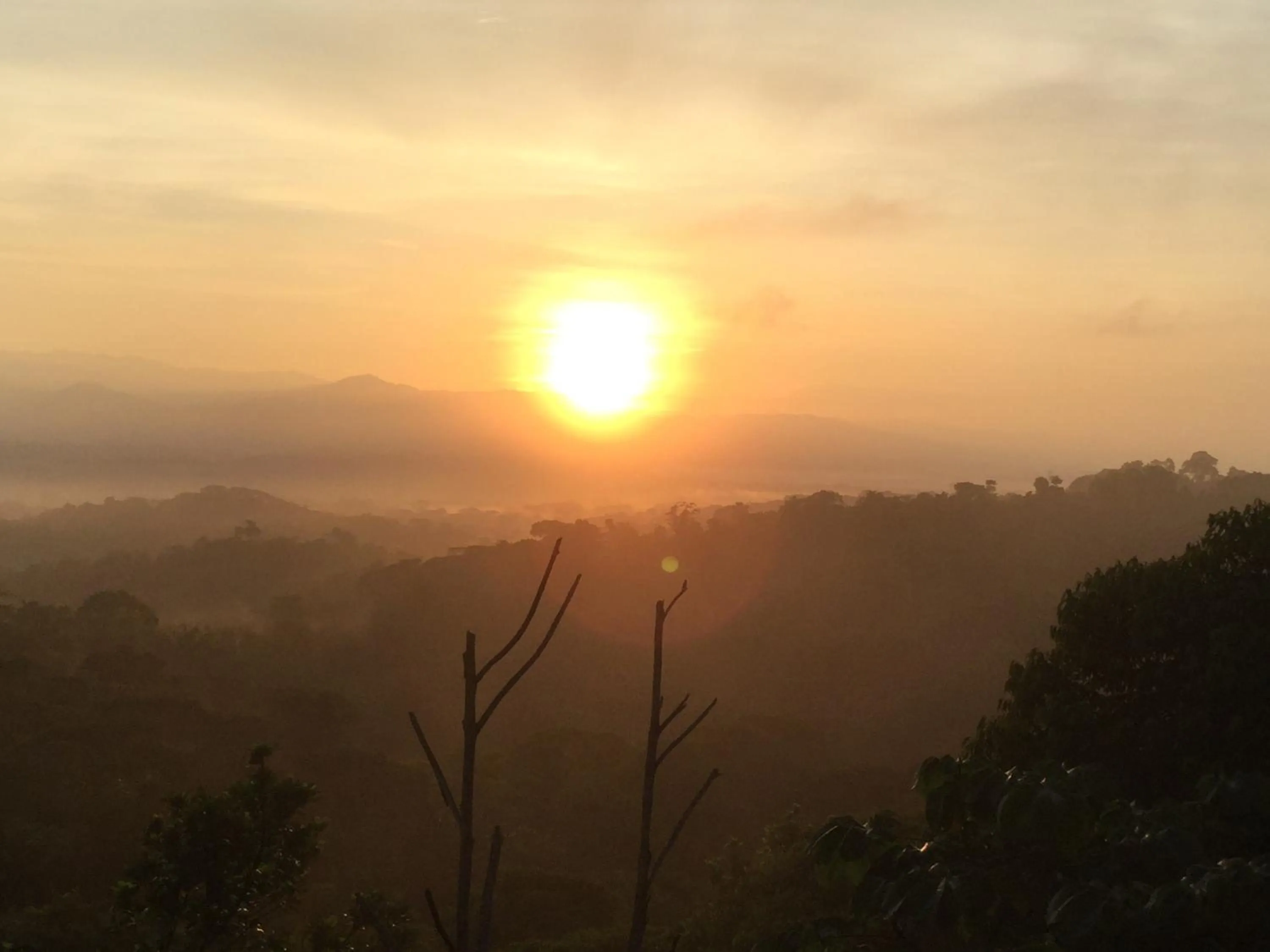 Garden view in Casa Libertinn