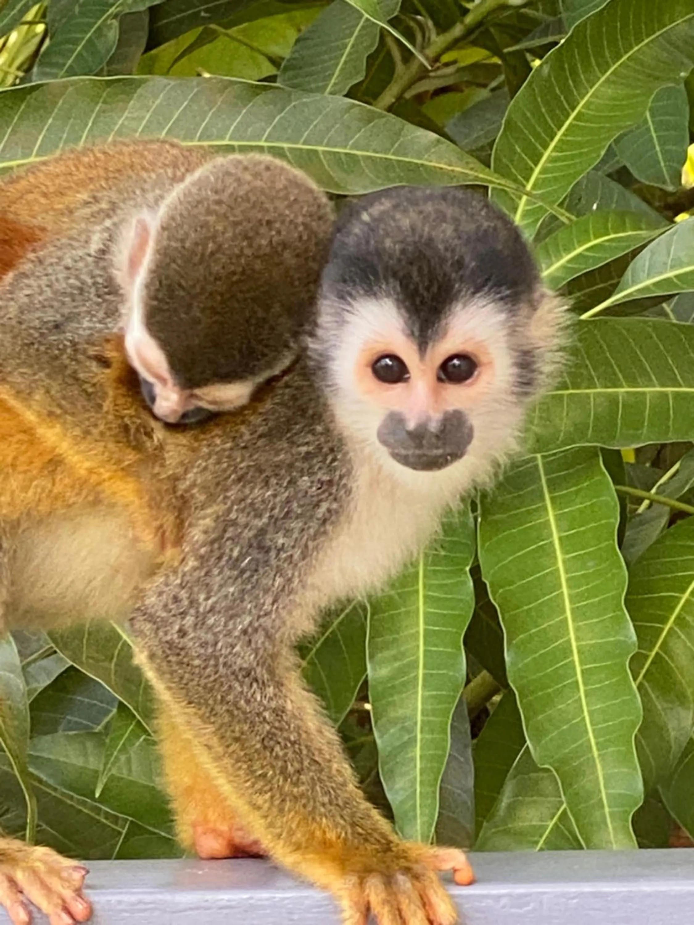Nearby landmark in Casa Libertinn