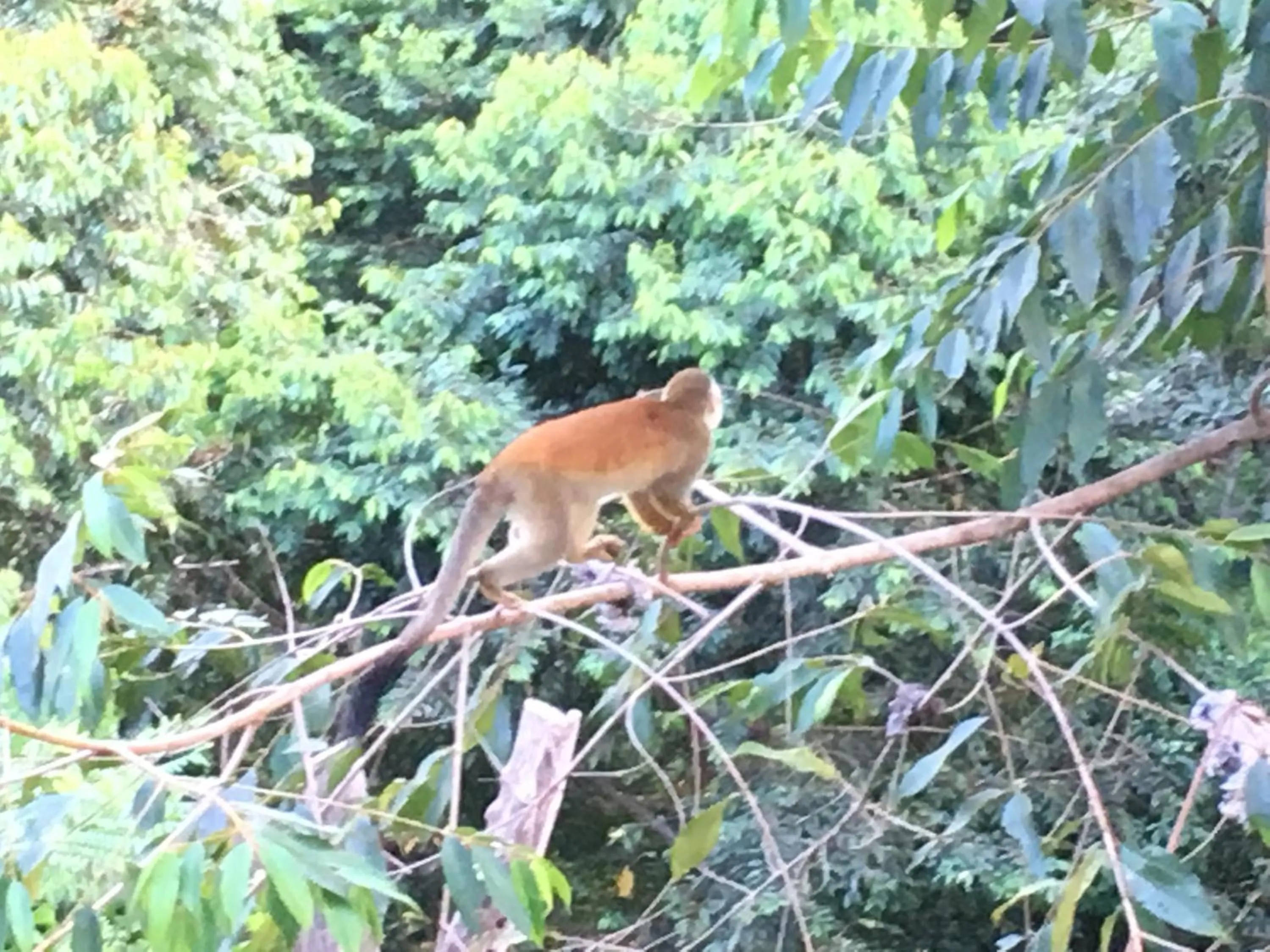 View (from property/room) in Casa Libertinn
