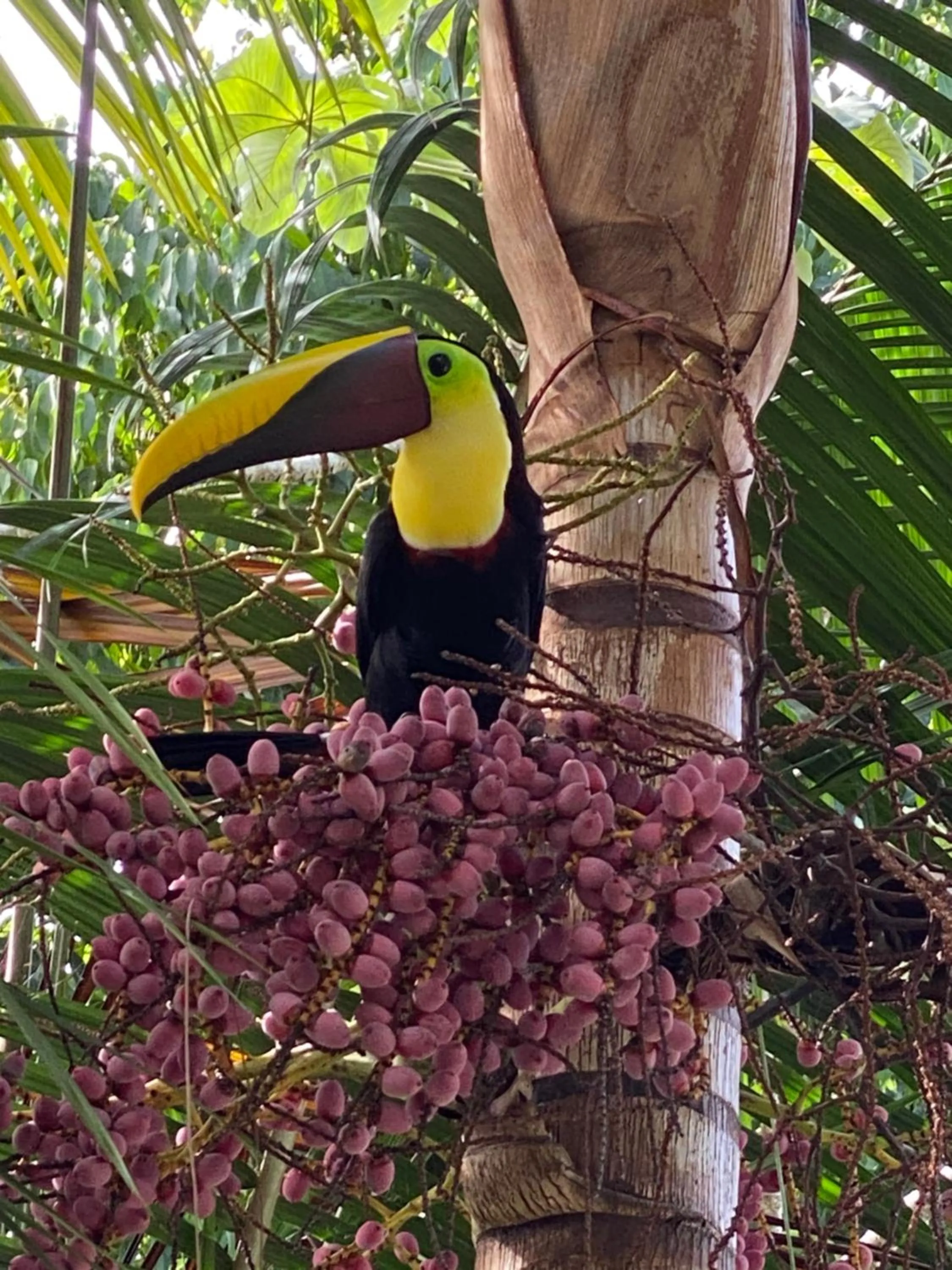 Nearby landmark in Casa Libertinn