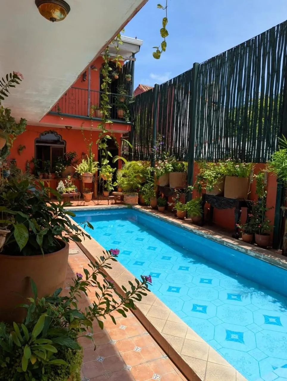 Pool view in Boutique Hotel Maharaja