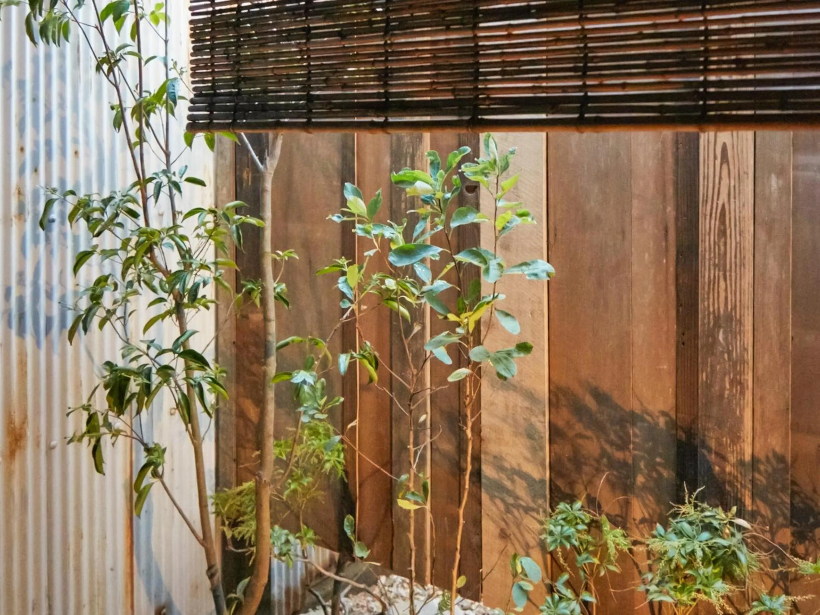 Garden in sakainoma hotel 熊