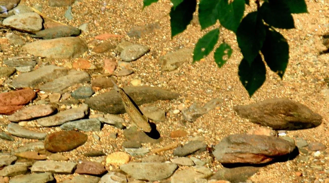 Oirase Guest house KEGETSU