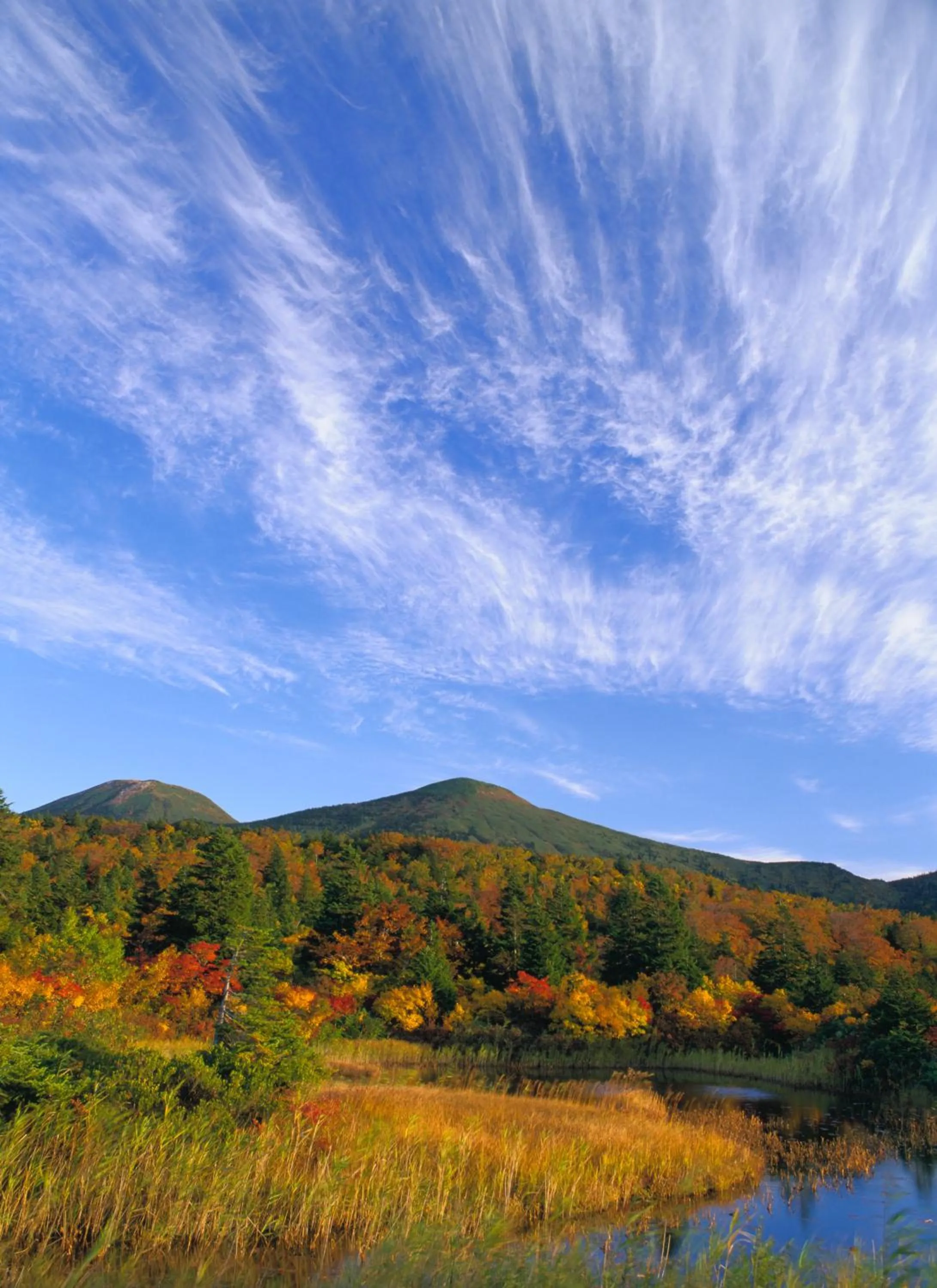 Off site in Oirase Guest house KEGETSU