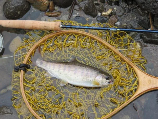 Off site in Oirase Guest house KEGETSU