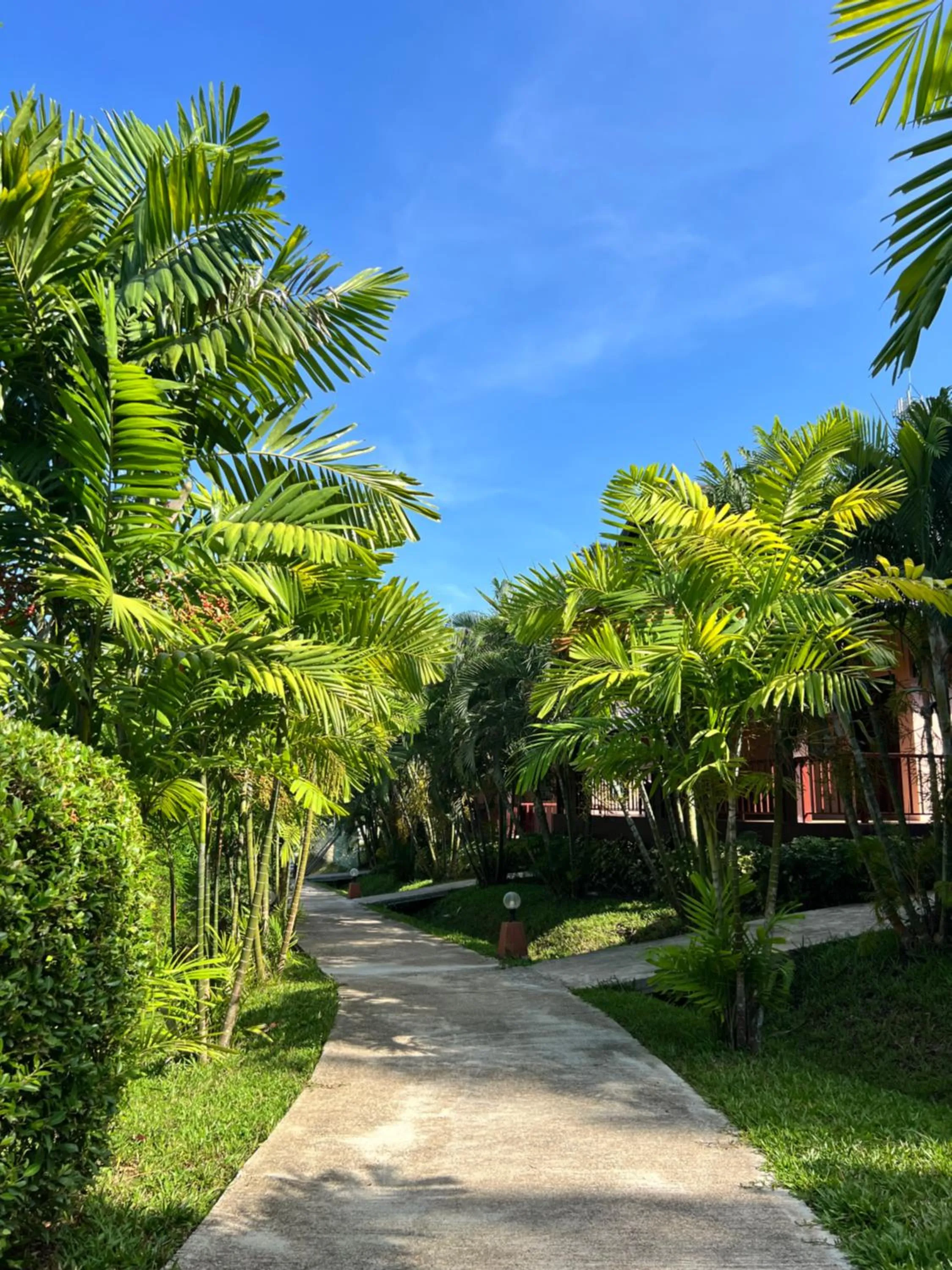 Day in Palm Kiri Aonang Resort