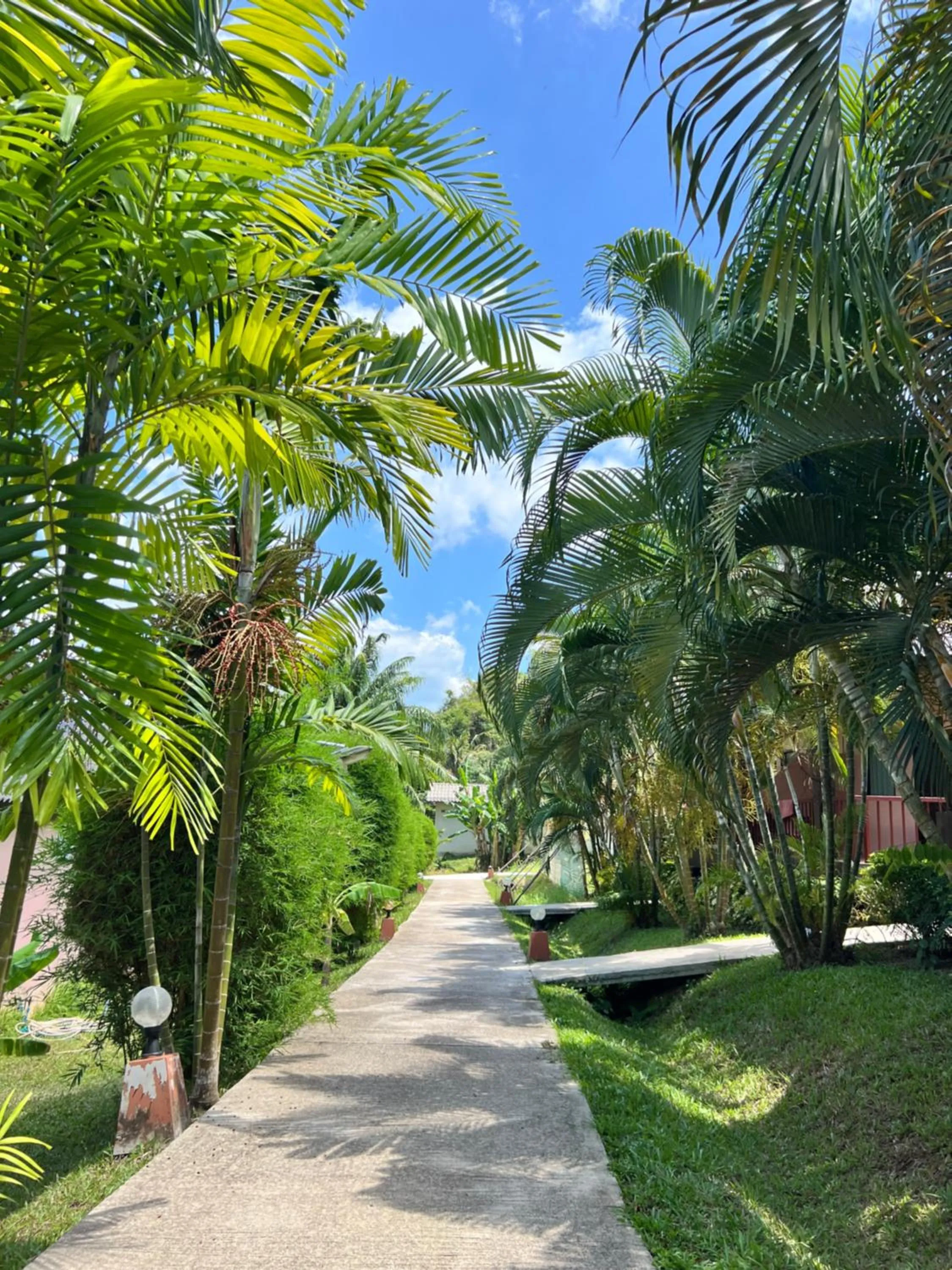 Day in Palm Kiri Aonang Resort