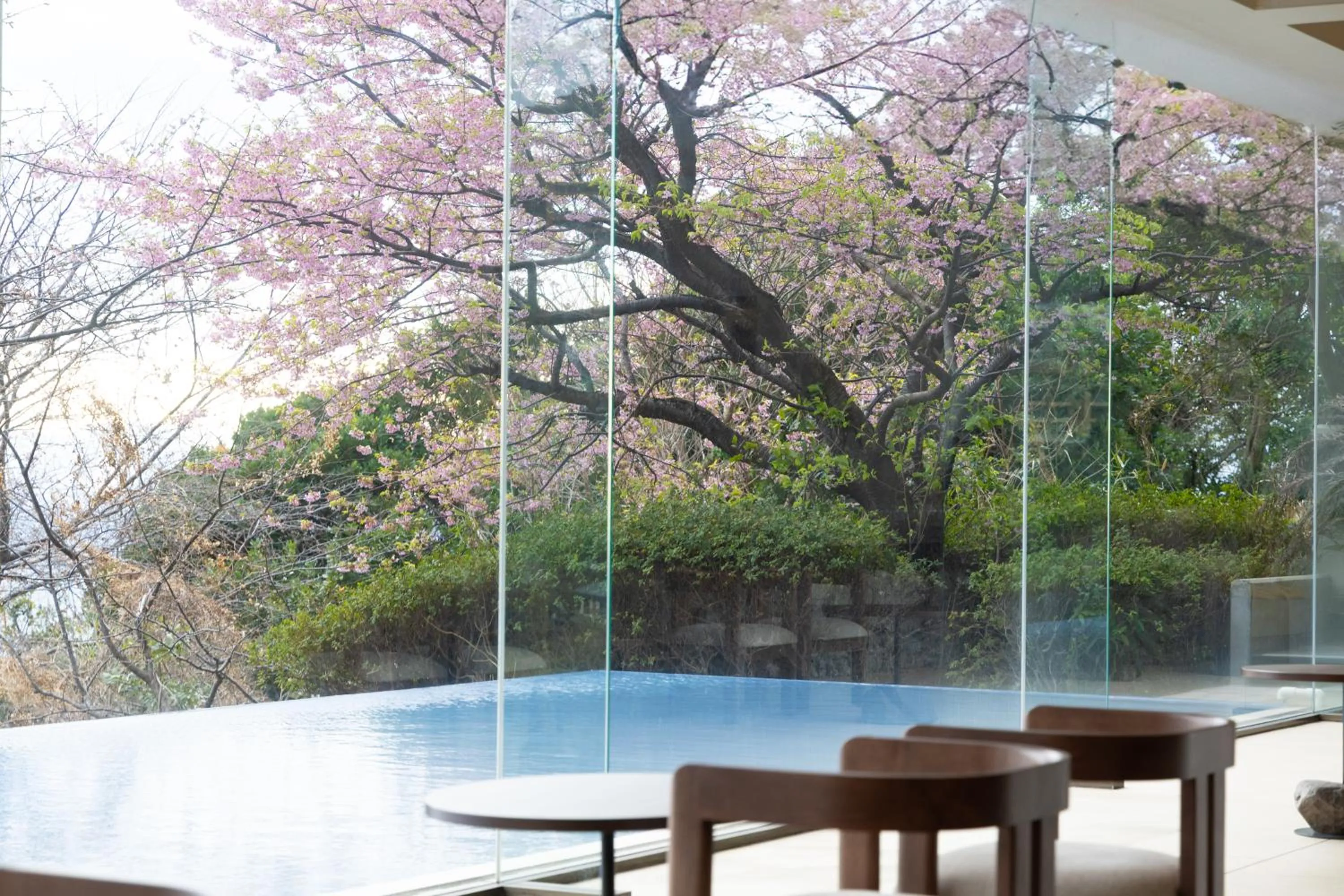 View (from property/room) in IZU RETREAT by Onko Chishin