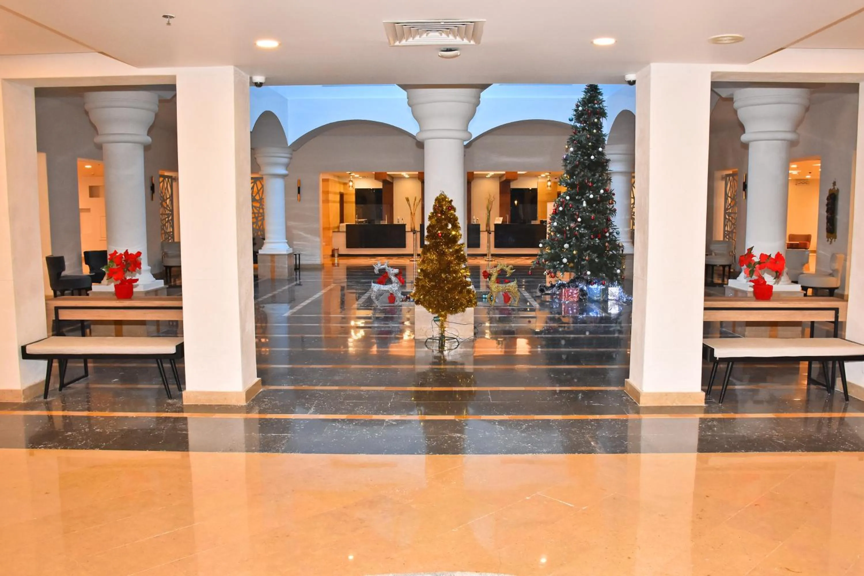 Lobby or reception in Marina Resort Port Ghalib, a member of Radisson Individuals