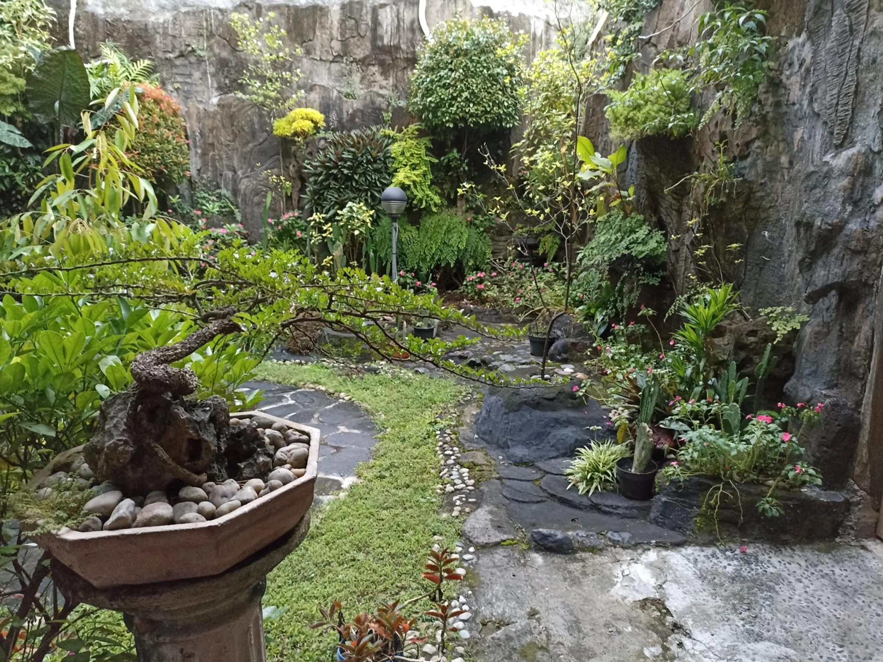 Garden in Sartika Family Prawirotaman