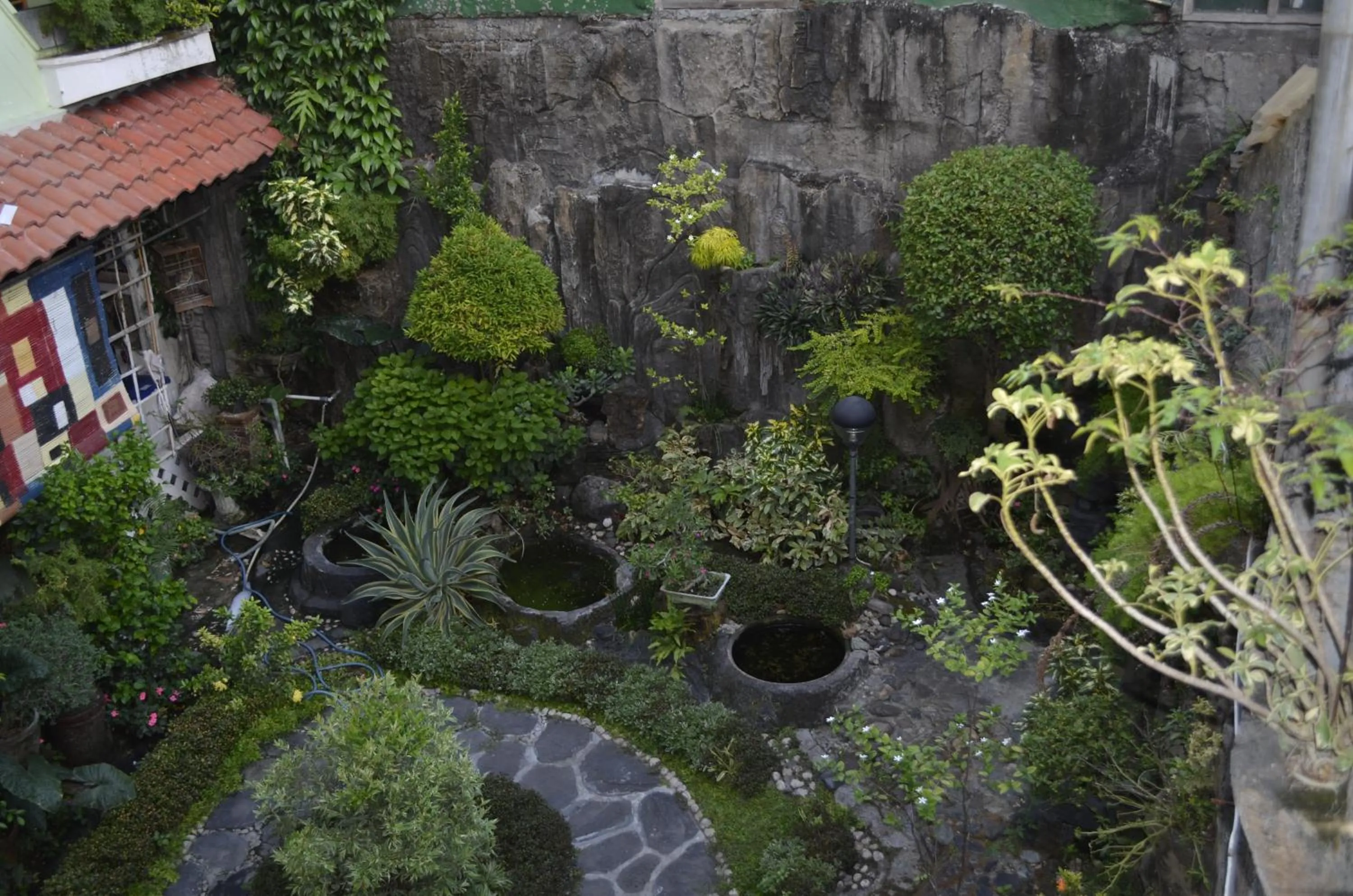 Garden in Sartika Family Prawirotaman